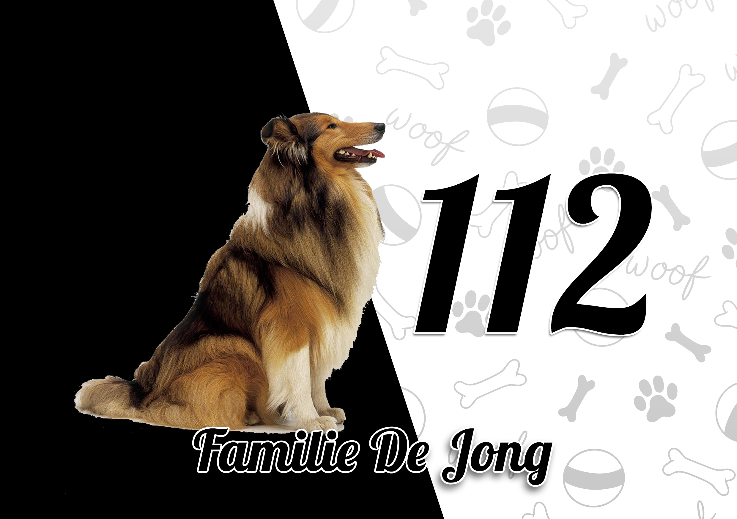 Collie Naambordje 3