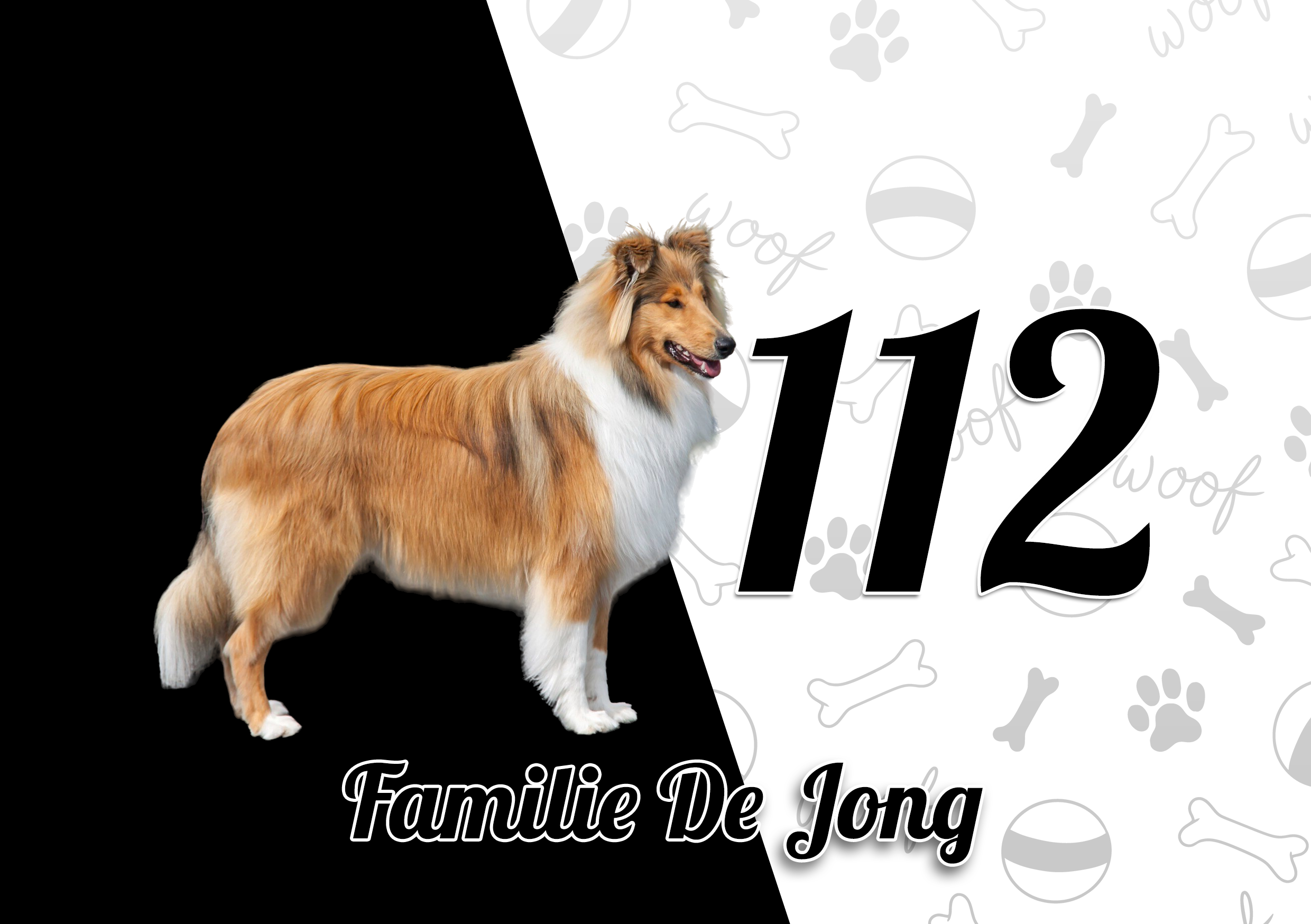Collie Naambordje 4