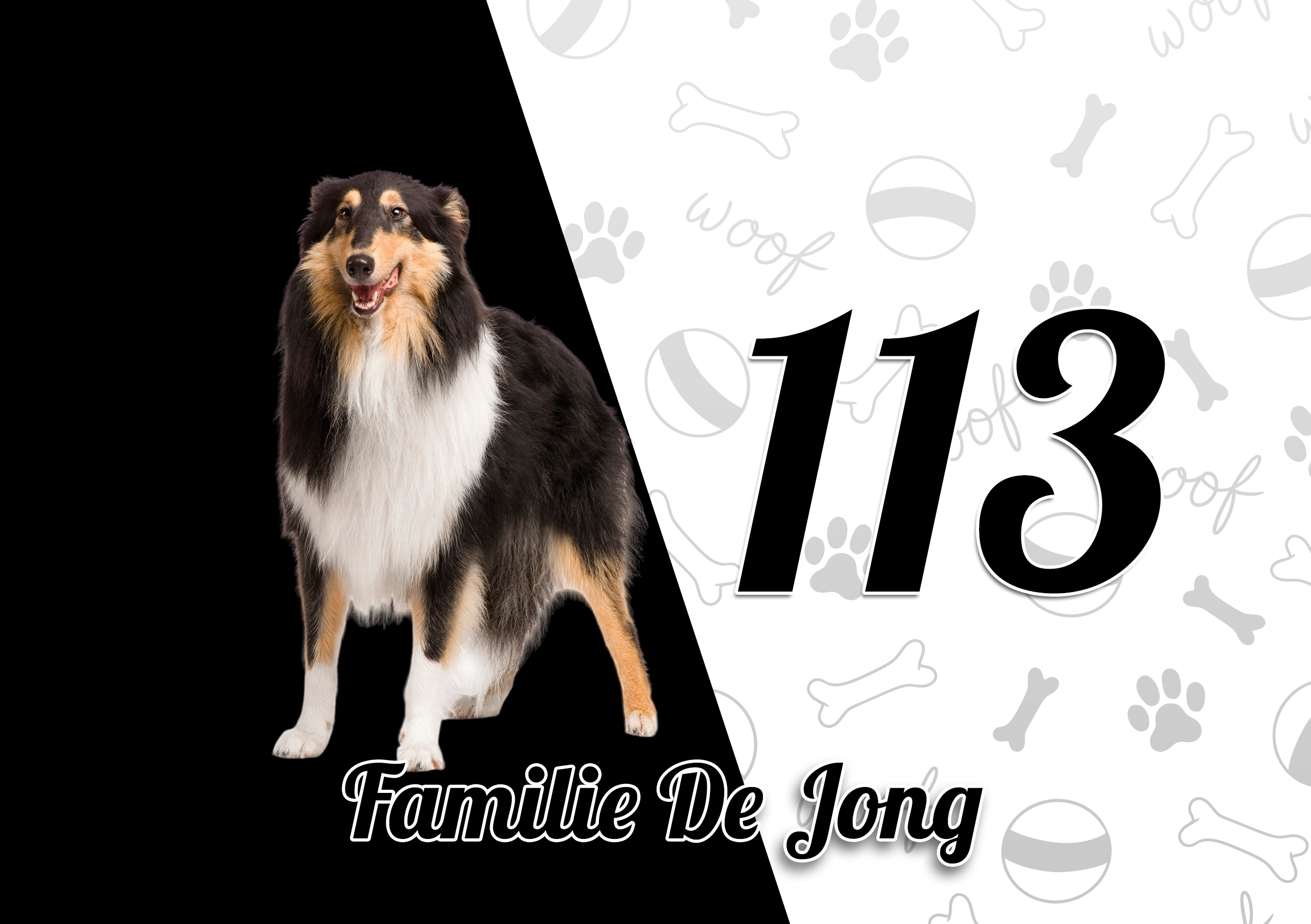 Collie Naambordje 5