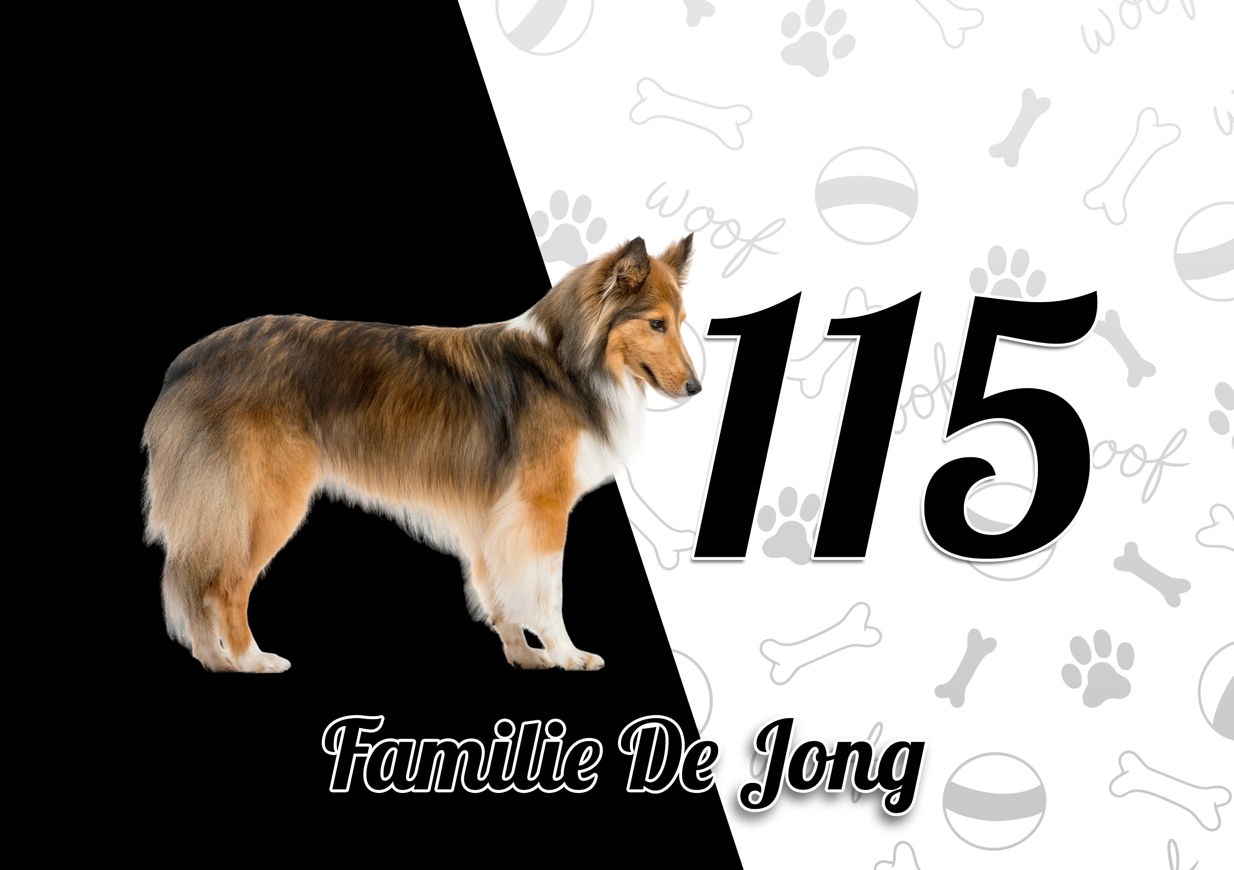 Collie Naambordje 7