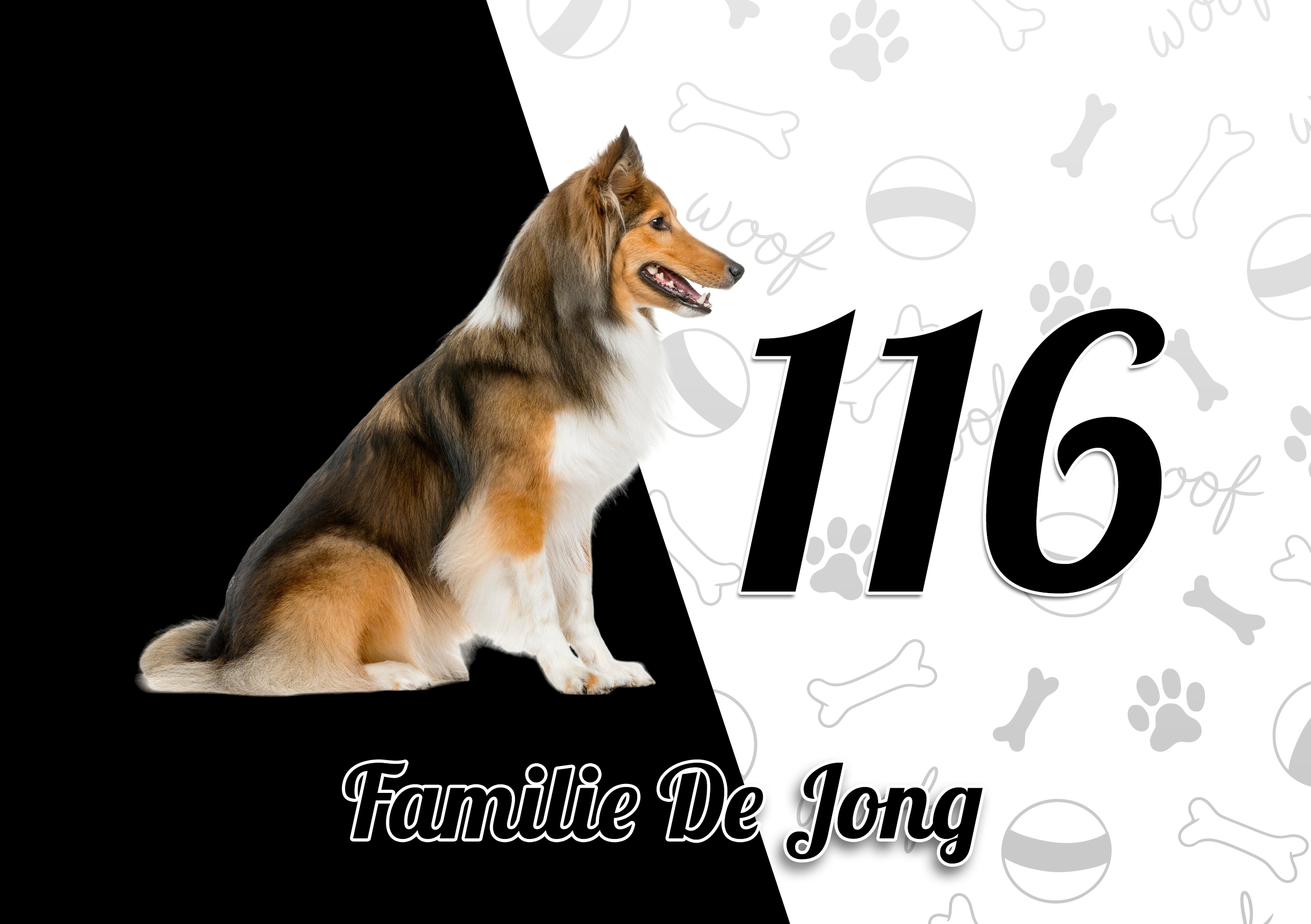 Collie Naambordje 8
