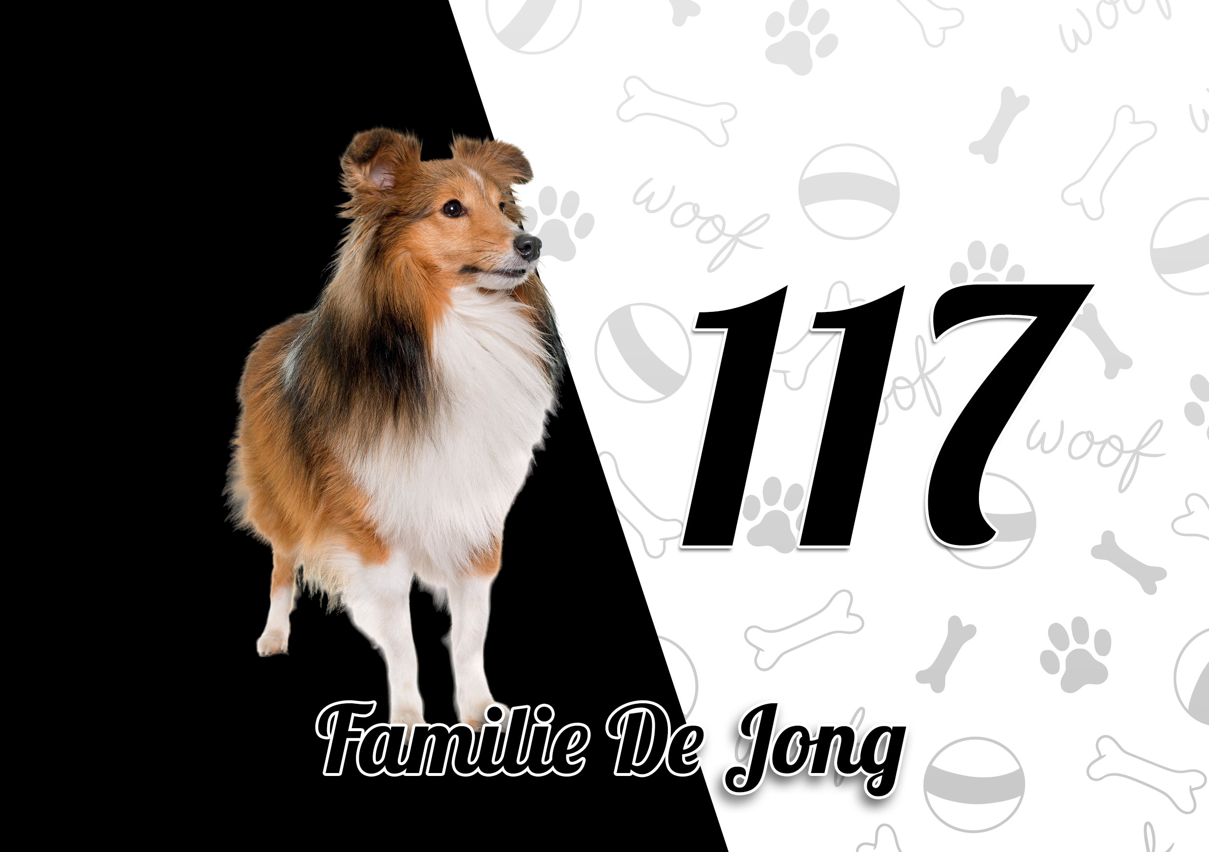 Collie Naambordje 9