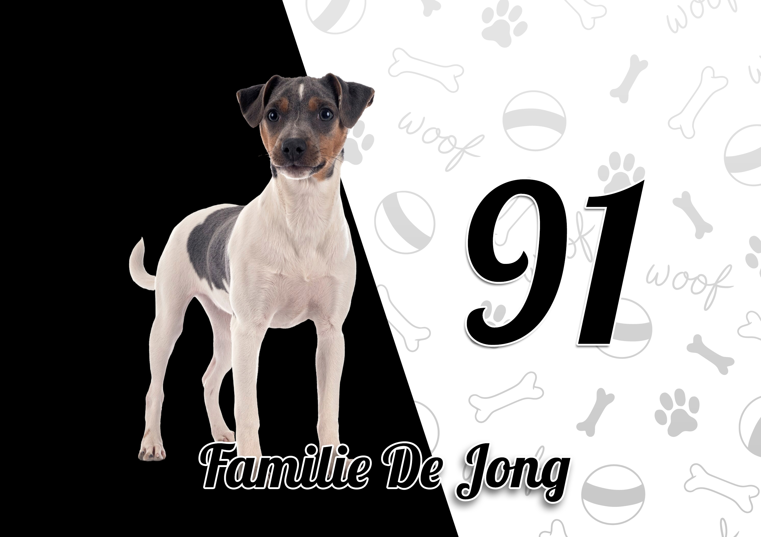 Jack Russell Terriër Naambordje 3