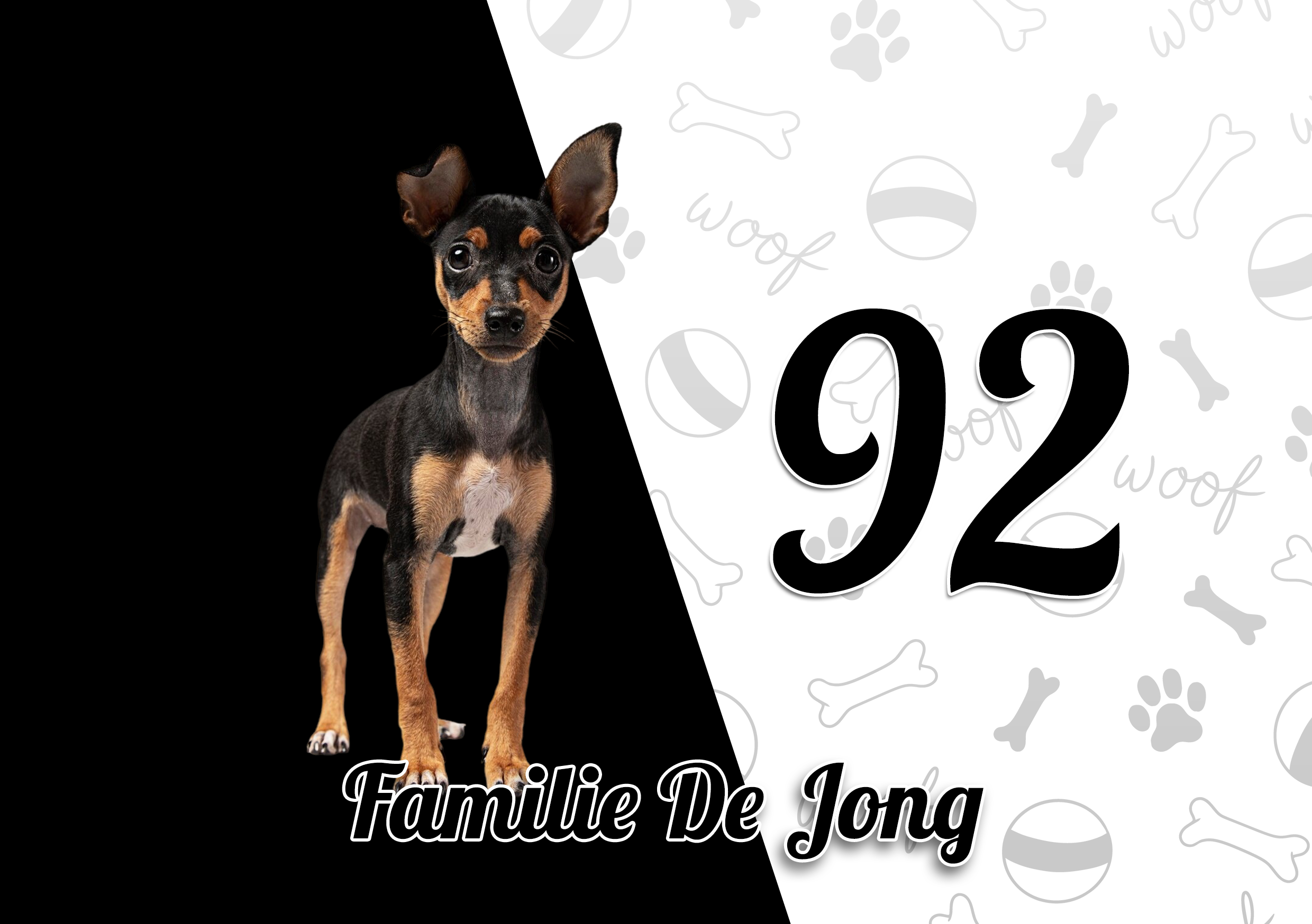 Jack Russell Terriër Naambordje 4