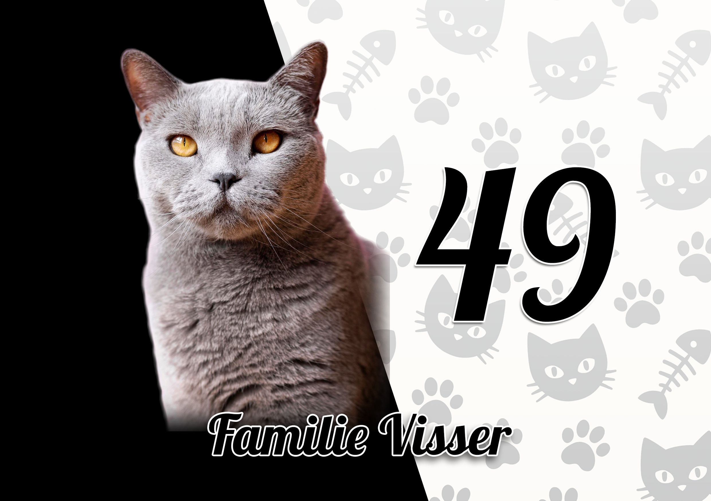 Katten Naambordje 11