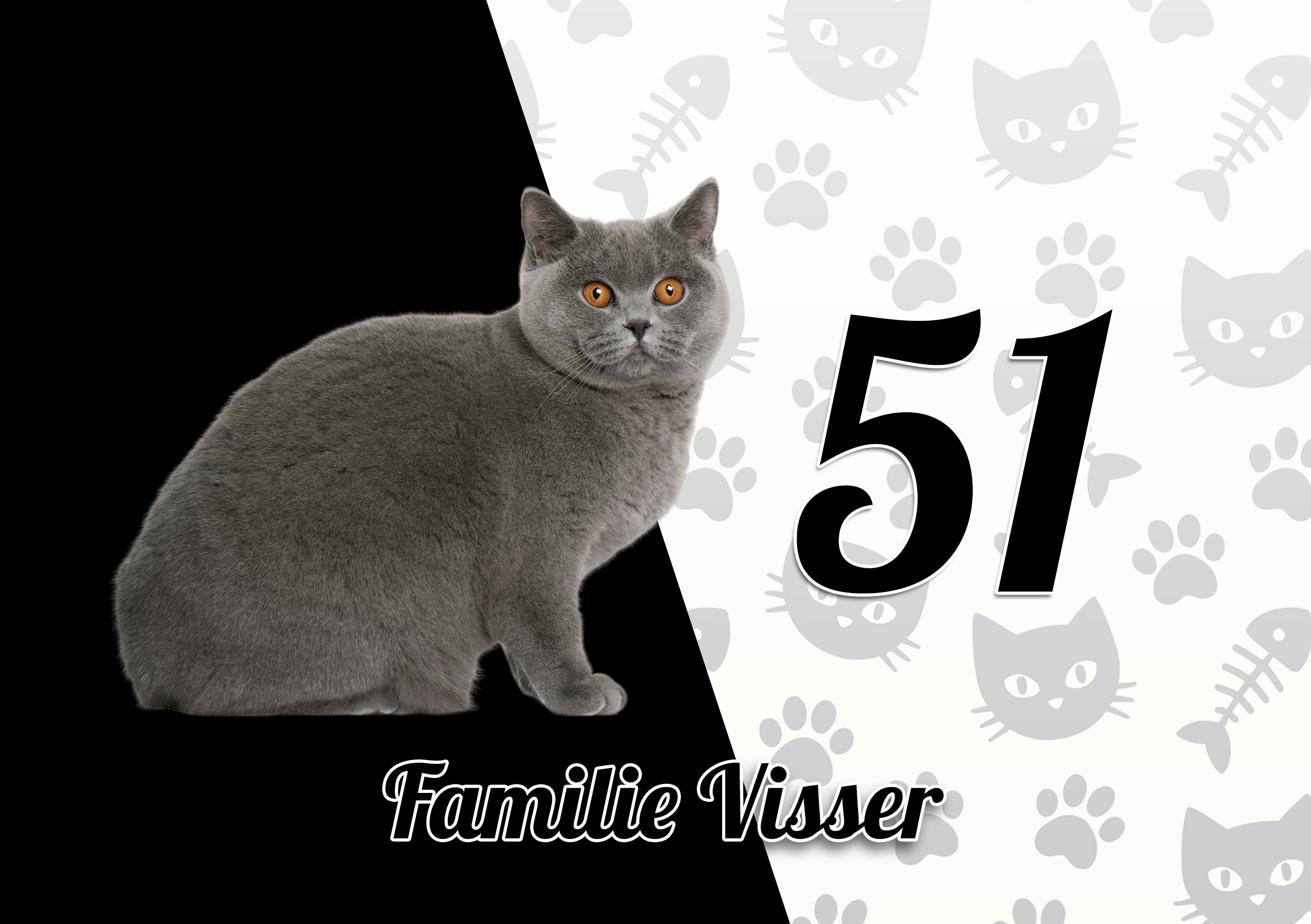 Katten Naambordje 13
