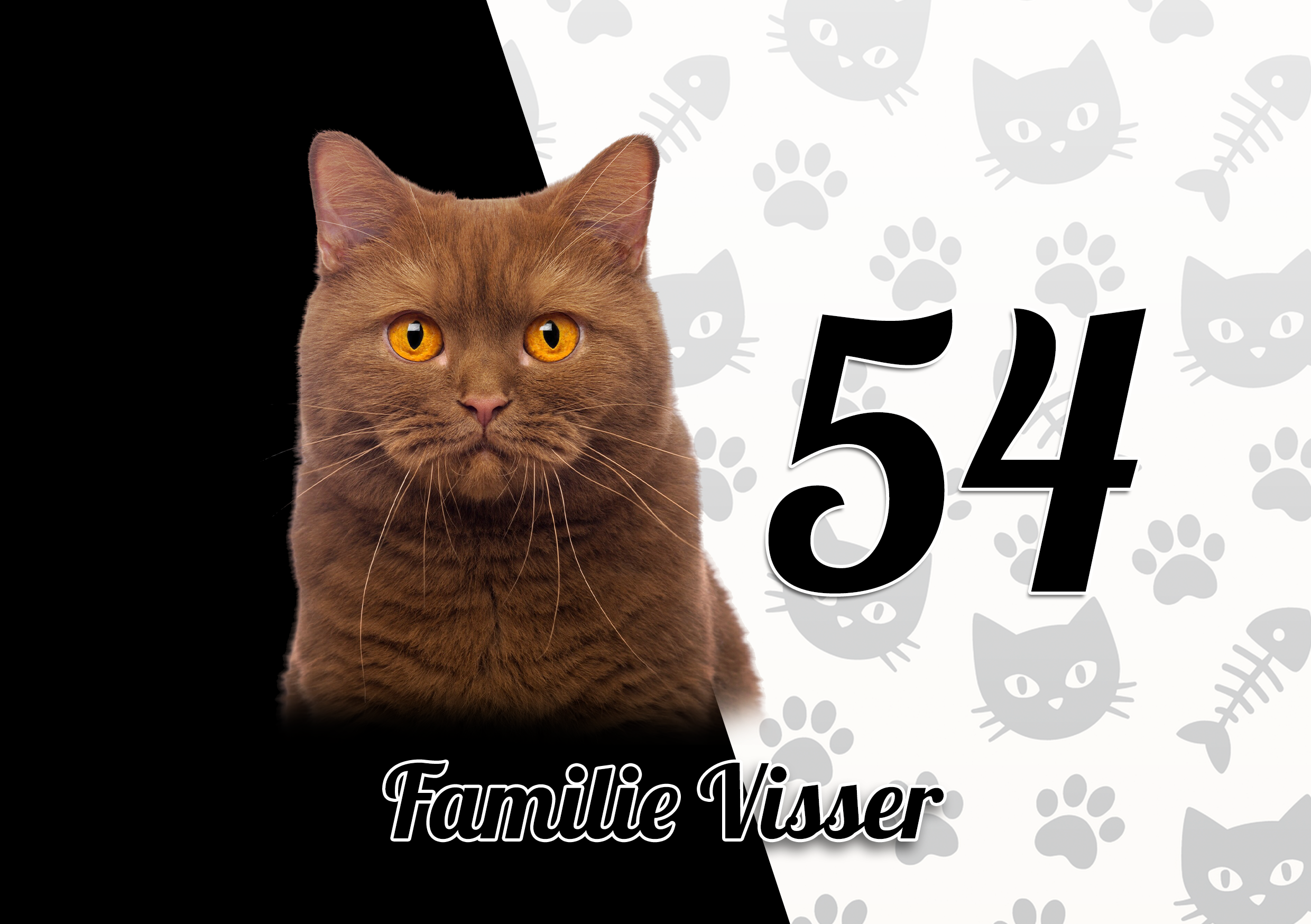 Katten Naambordje 16