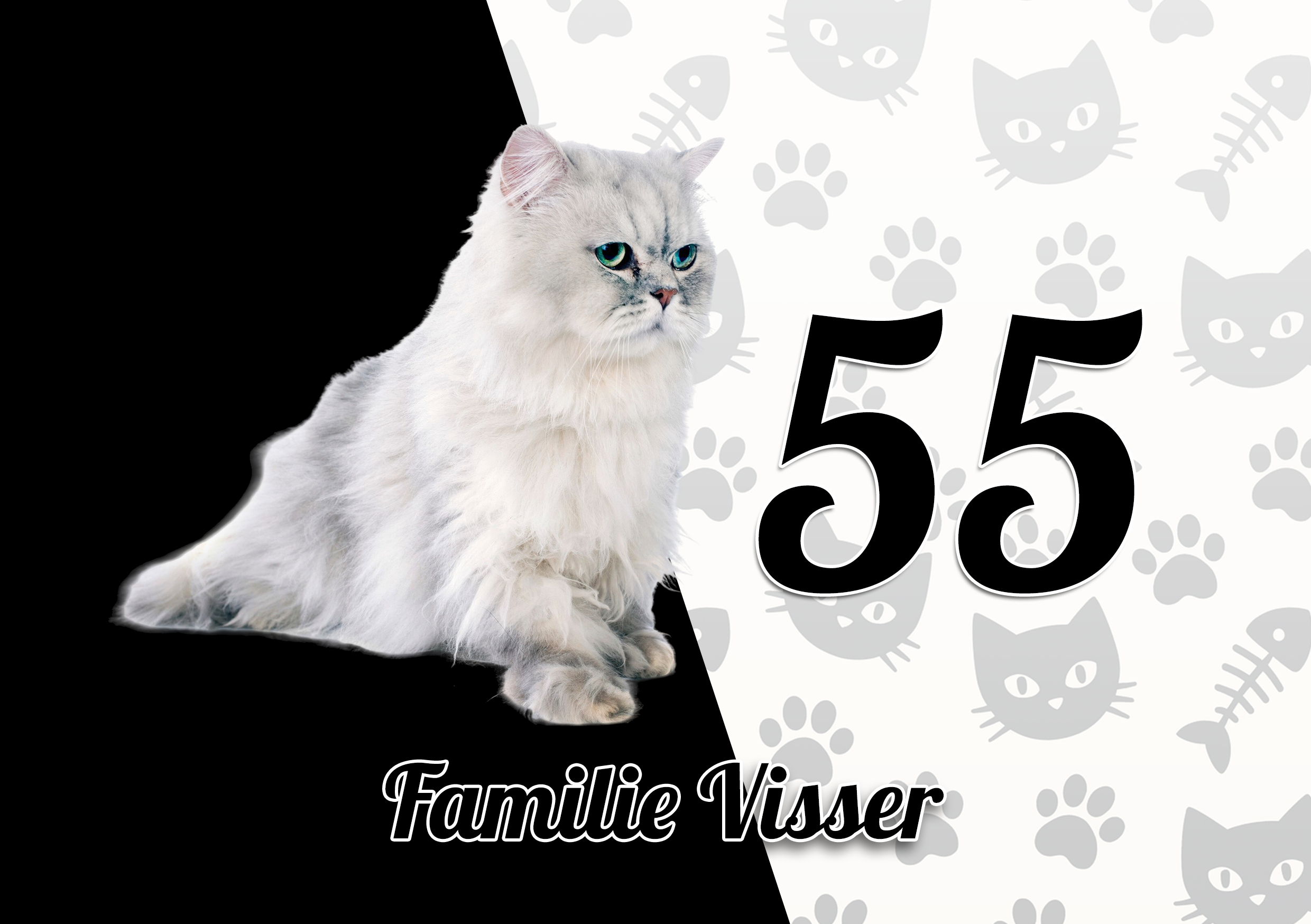 Katten Naambordje 17