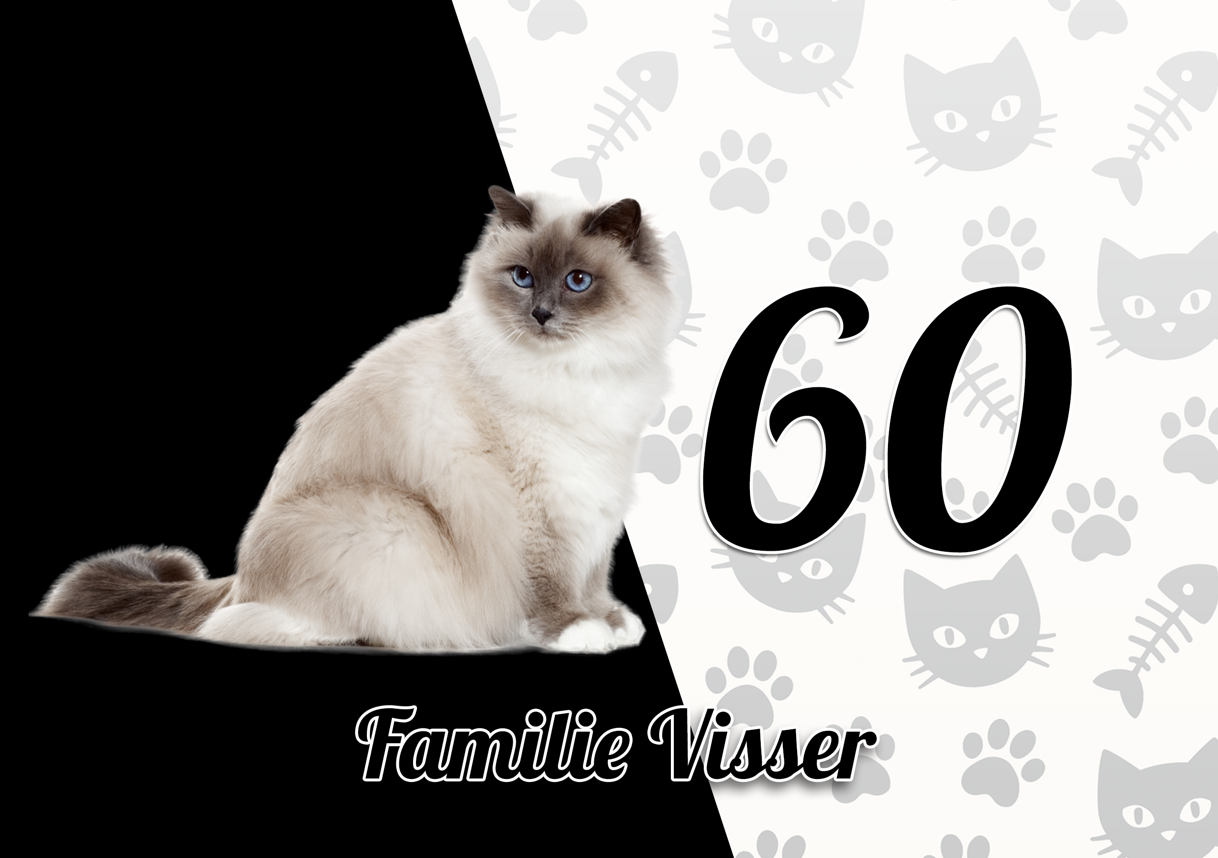 Katten Naambordje 19