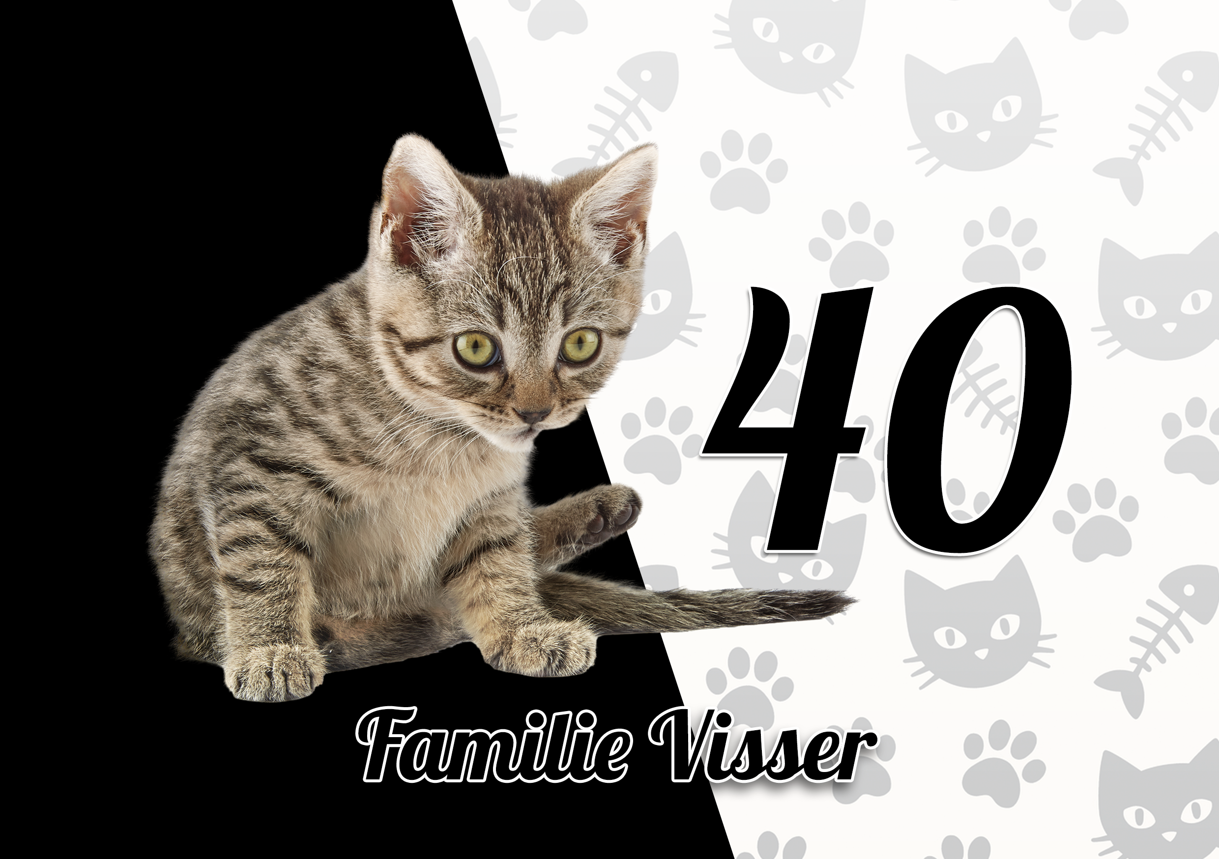 Katten Naambordje 2