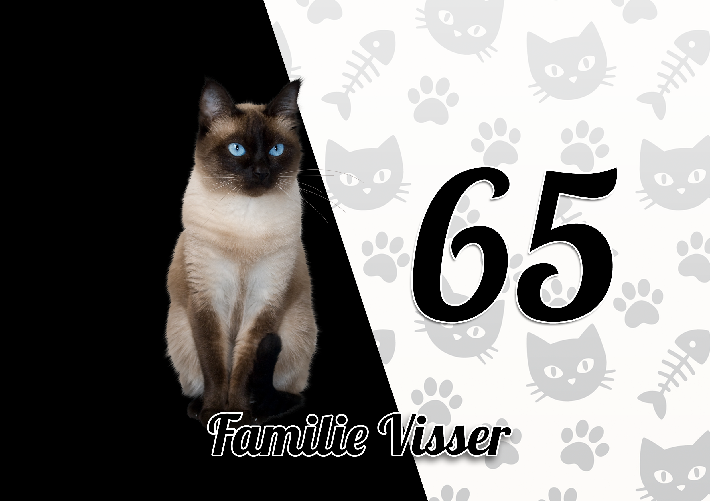 Katten Naambordje 24