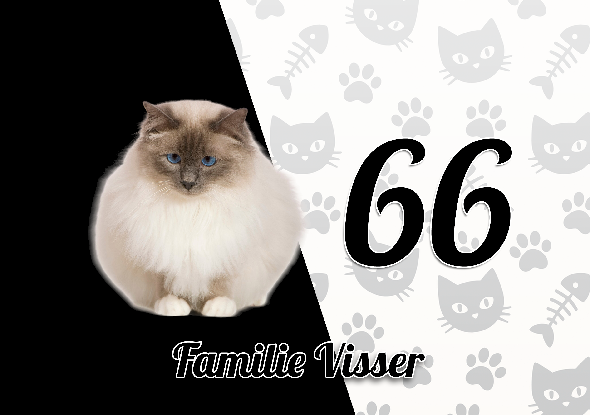 Katten Naambordje 25