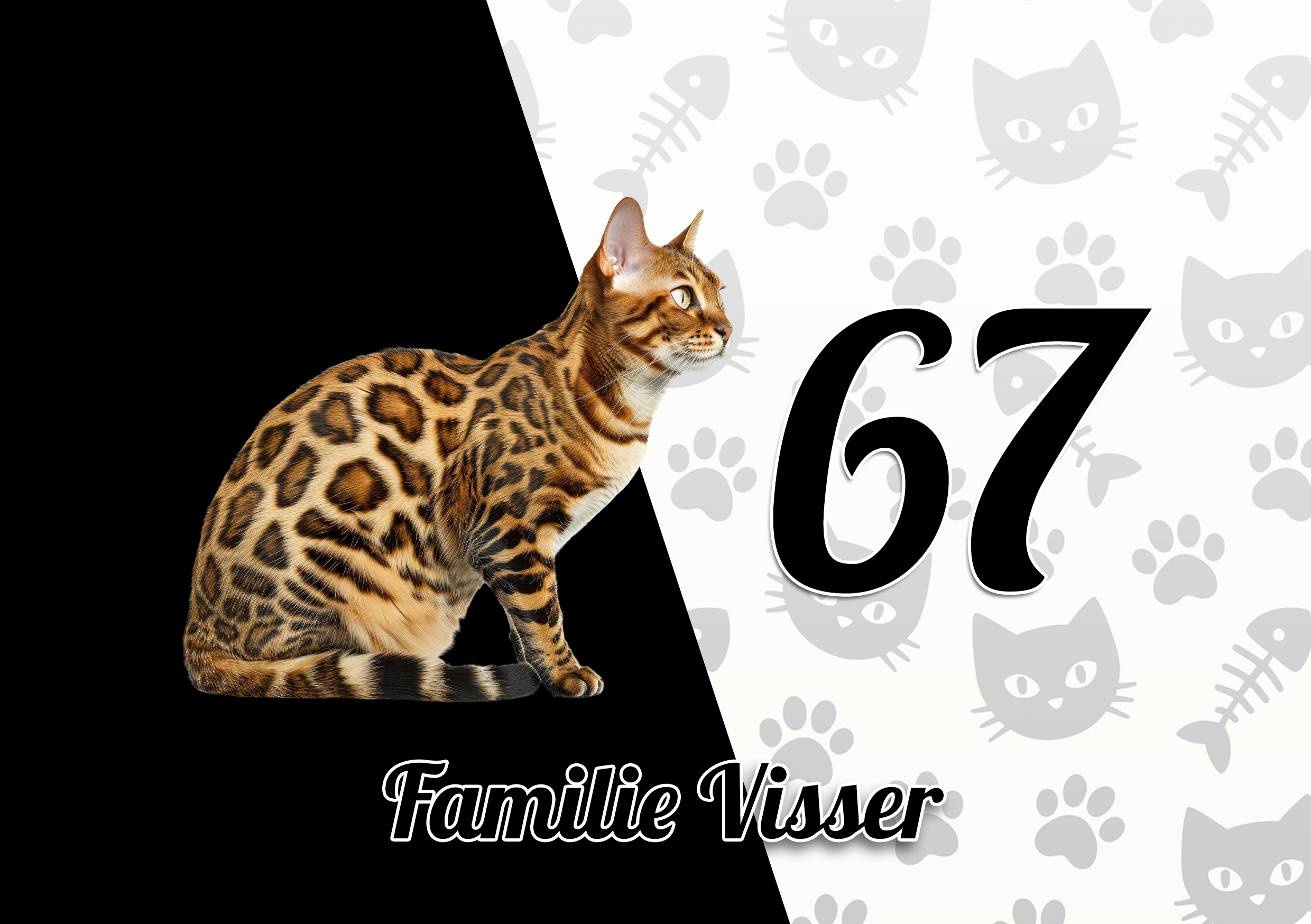 Katten Naambordje 26