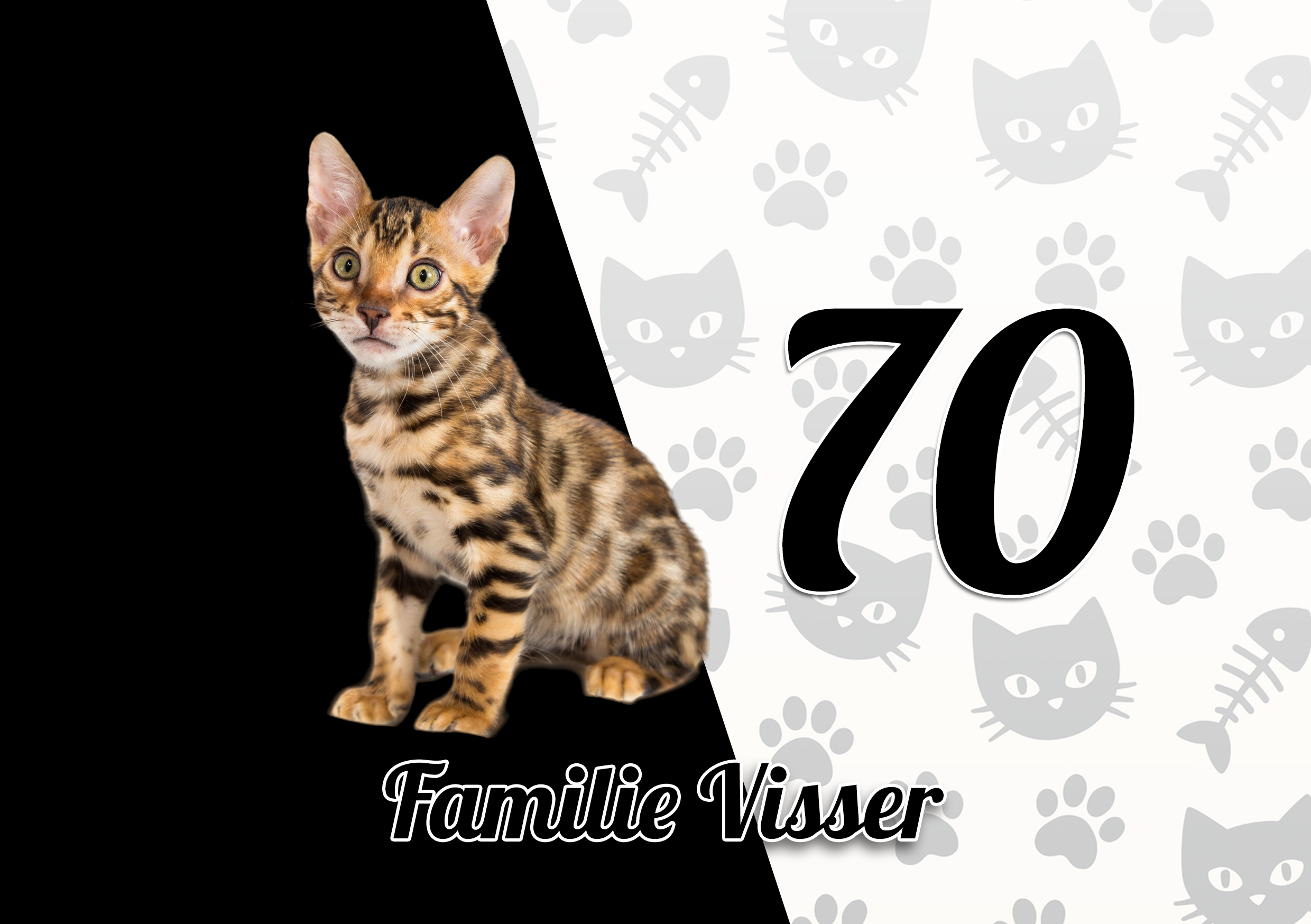 Katten Naambordje 29