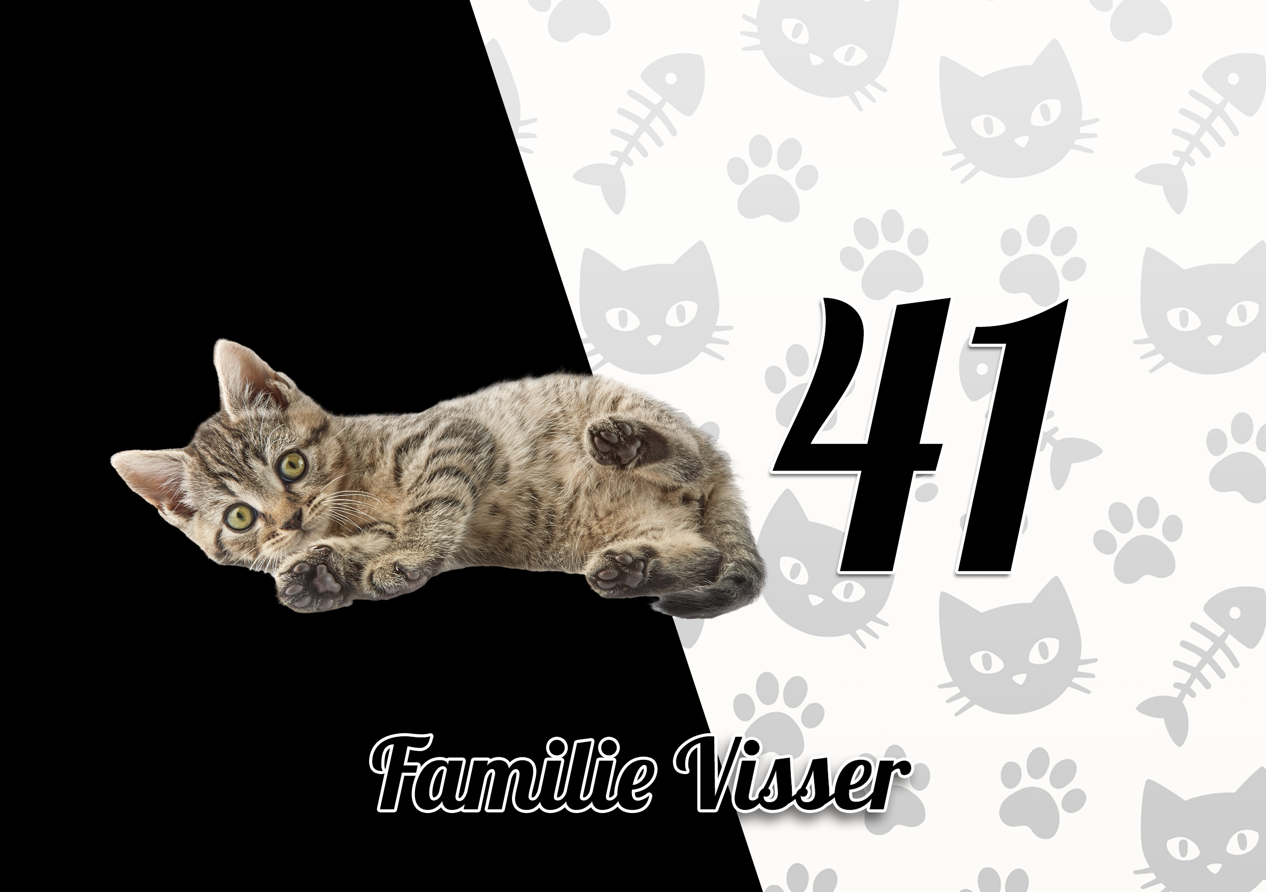 Katten Naambordje 3