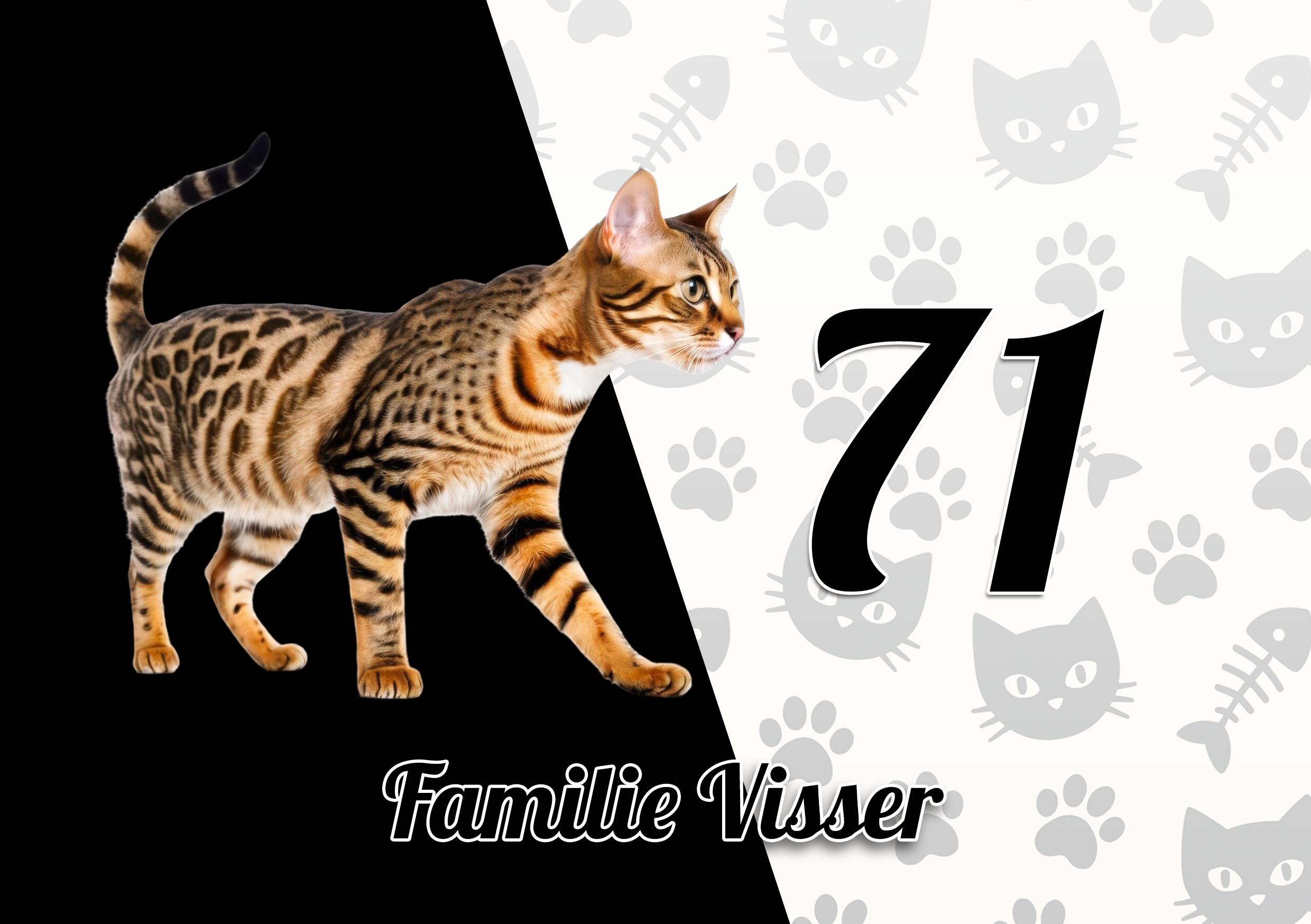 Katten Naambordje 30