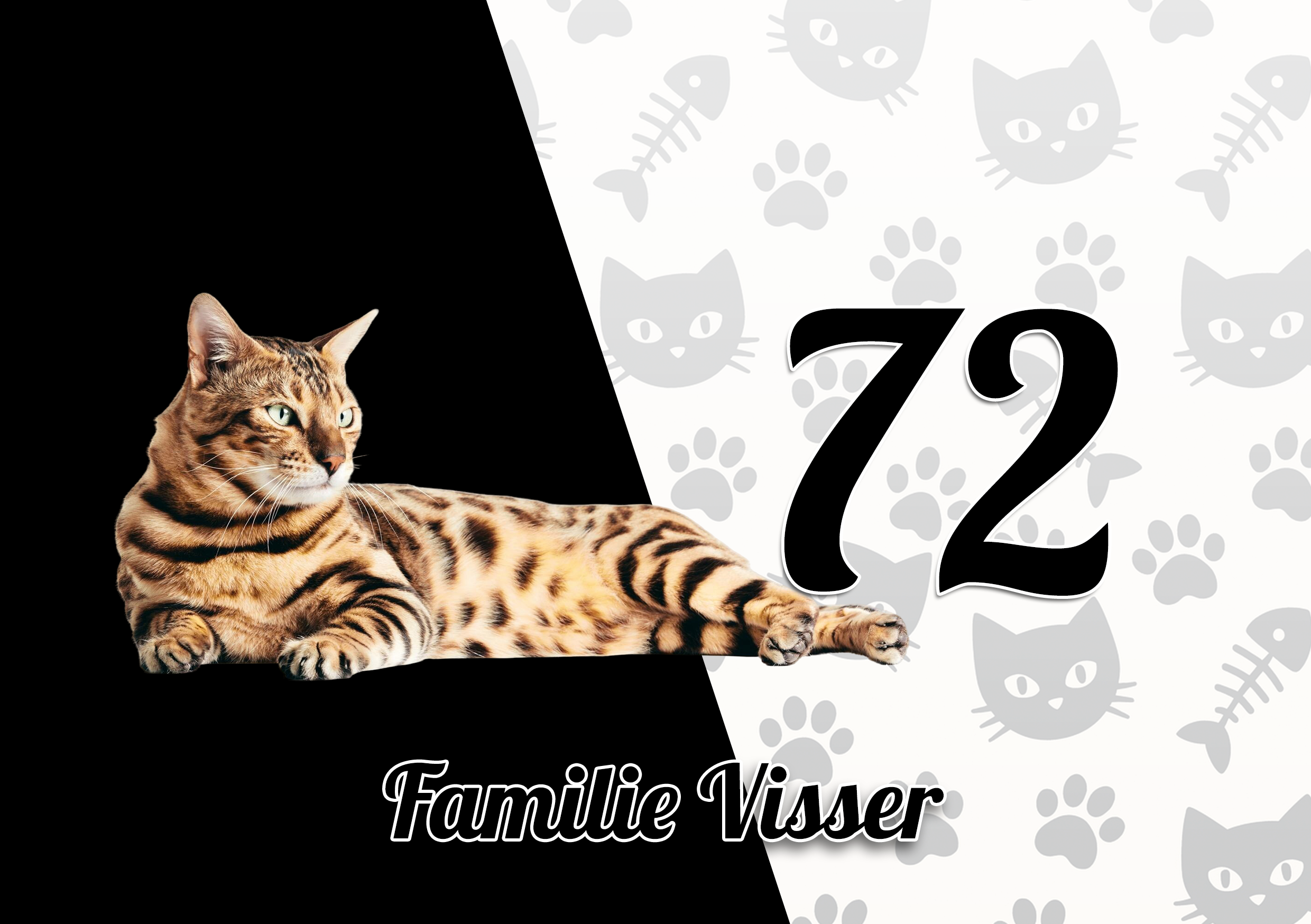 Katten Naambordje 31