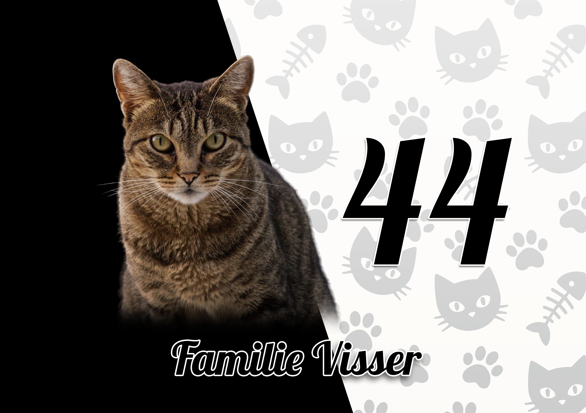 Katten Naambordje 6