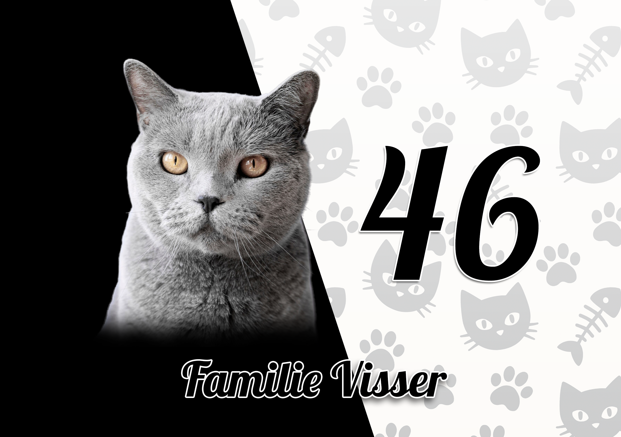 Katten Naambordje 8