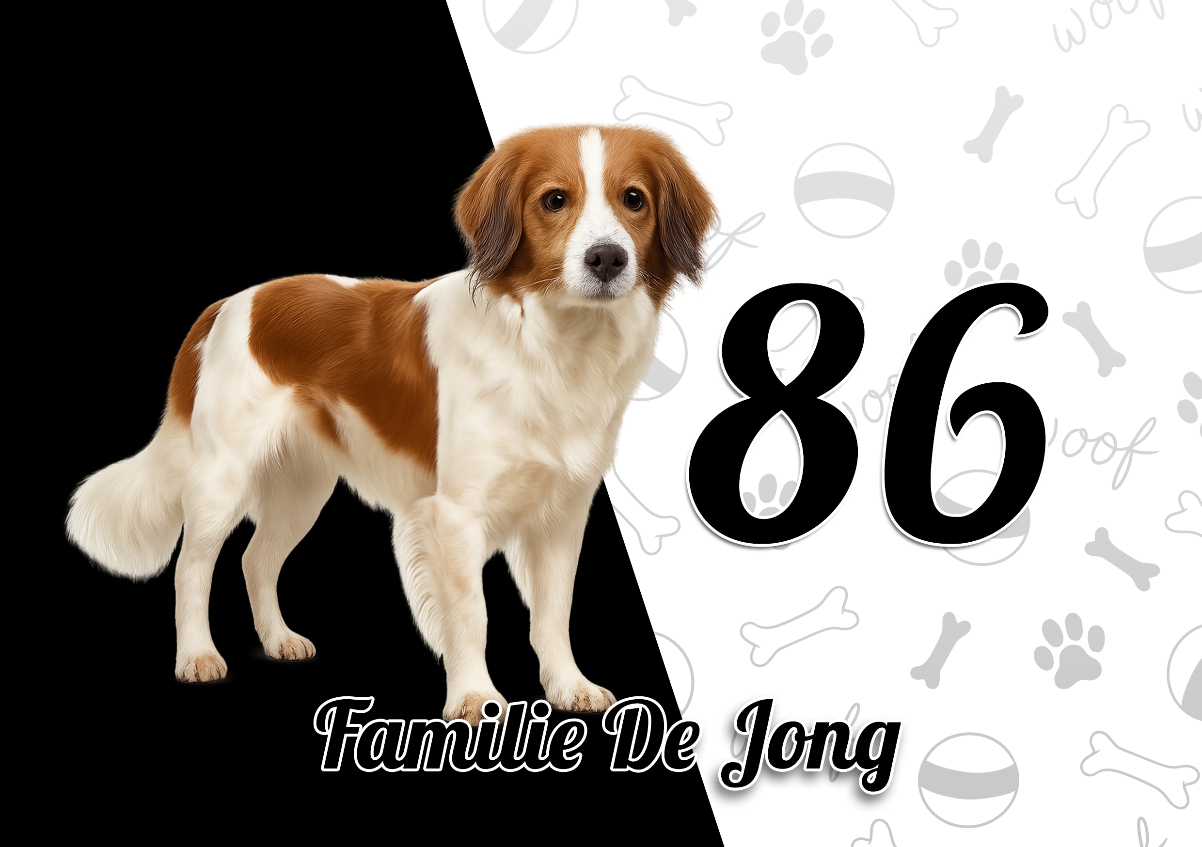 Kooikerhondje Naambordje 6