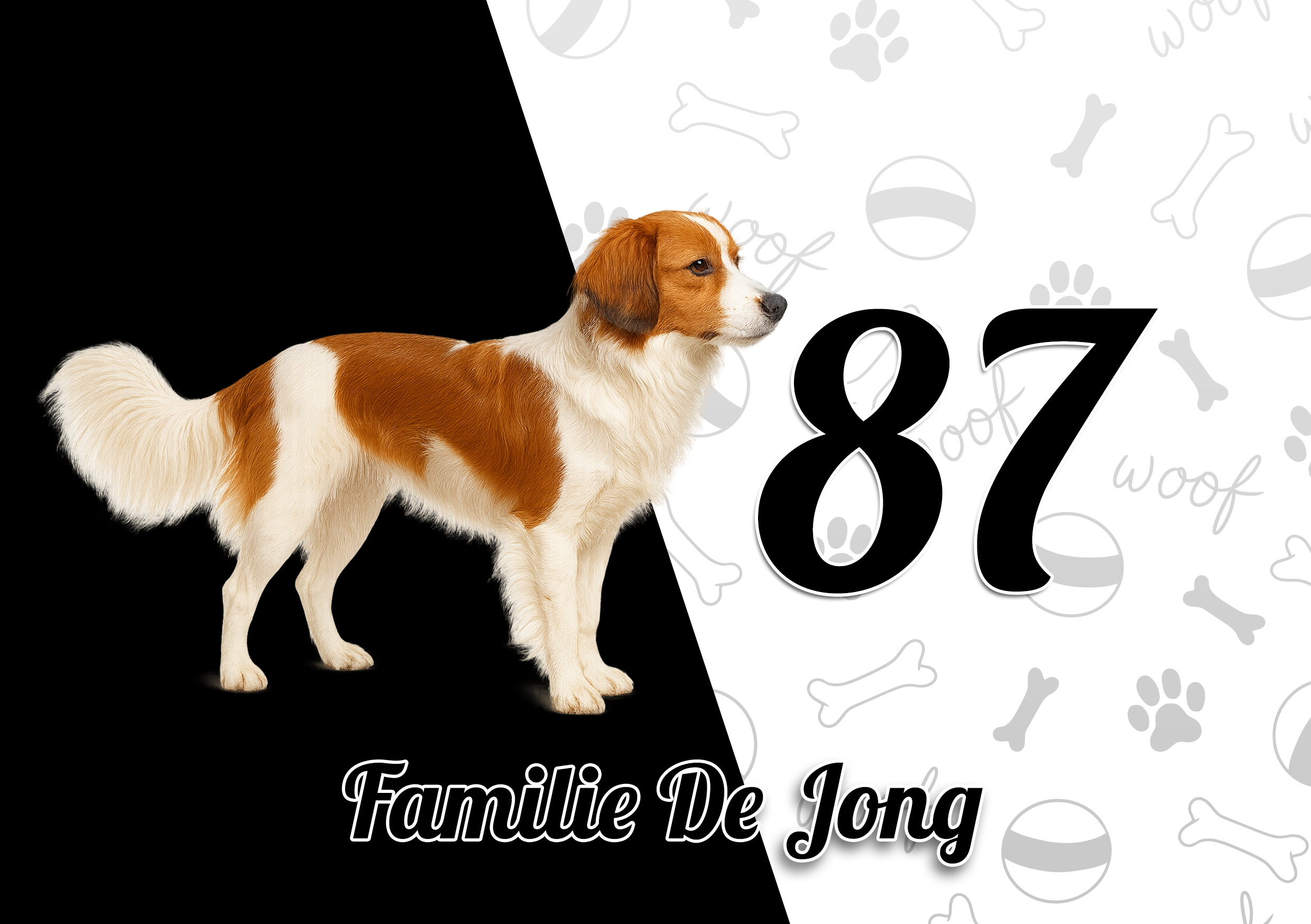 Kooikerhondje Naambordje 7