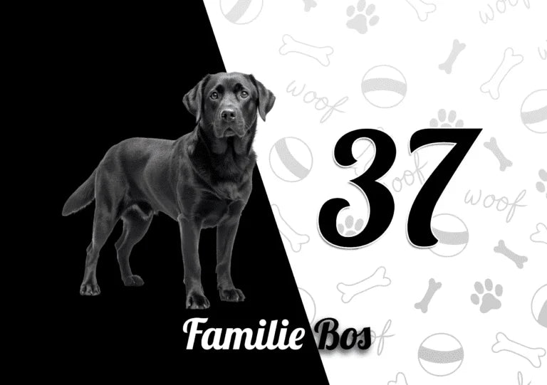 Labrador Retriever Naambordje 6