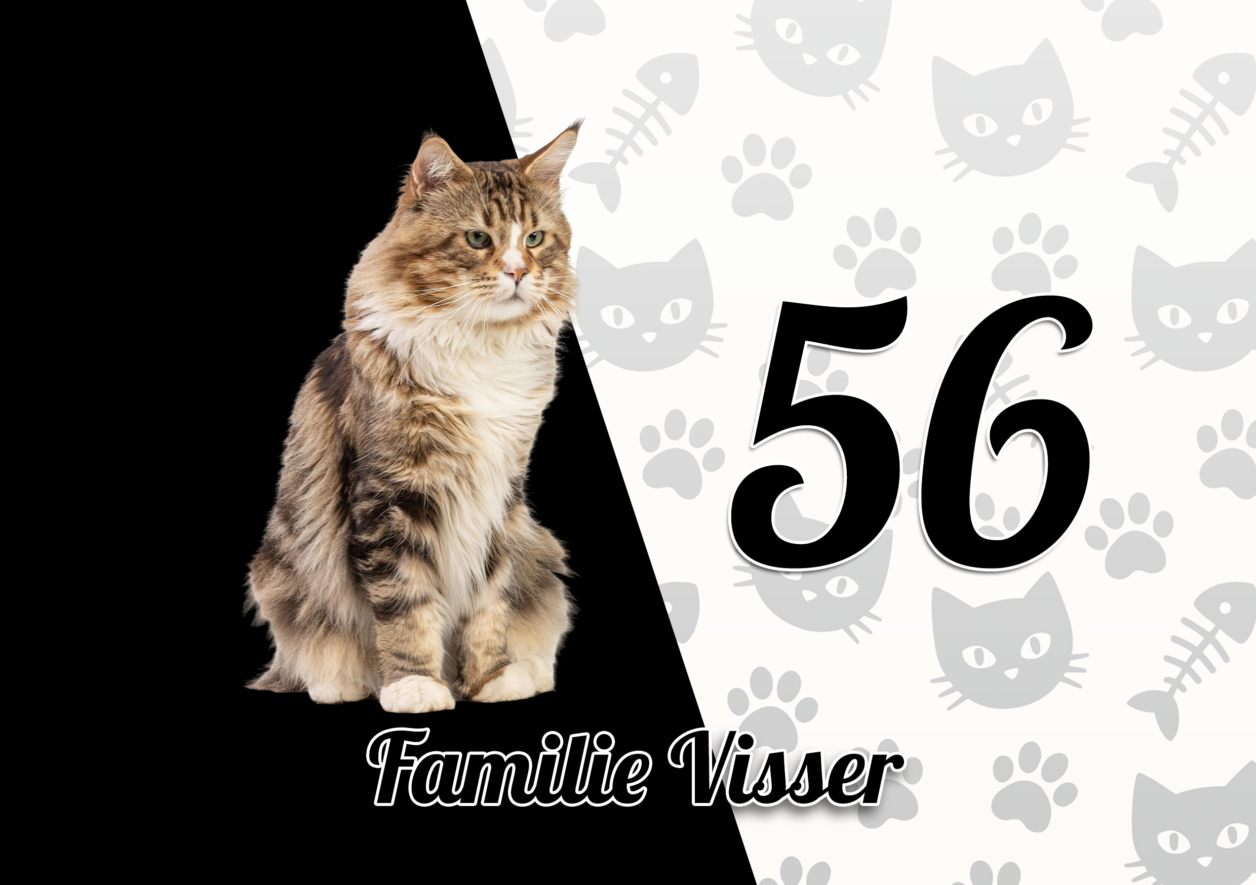 Maine Coon Naambordje 1