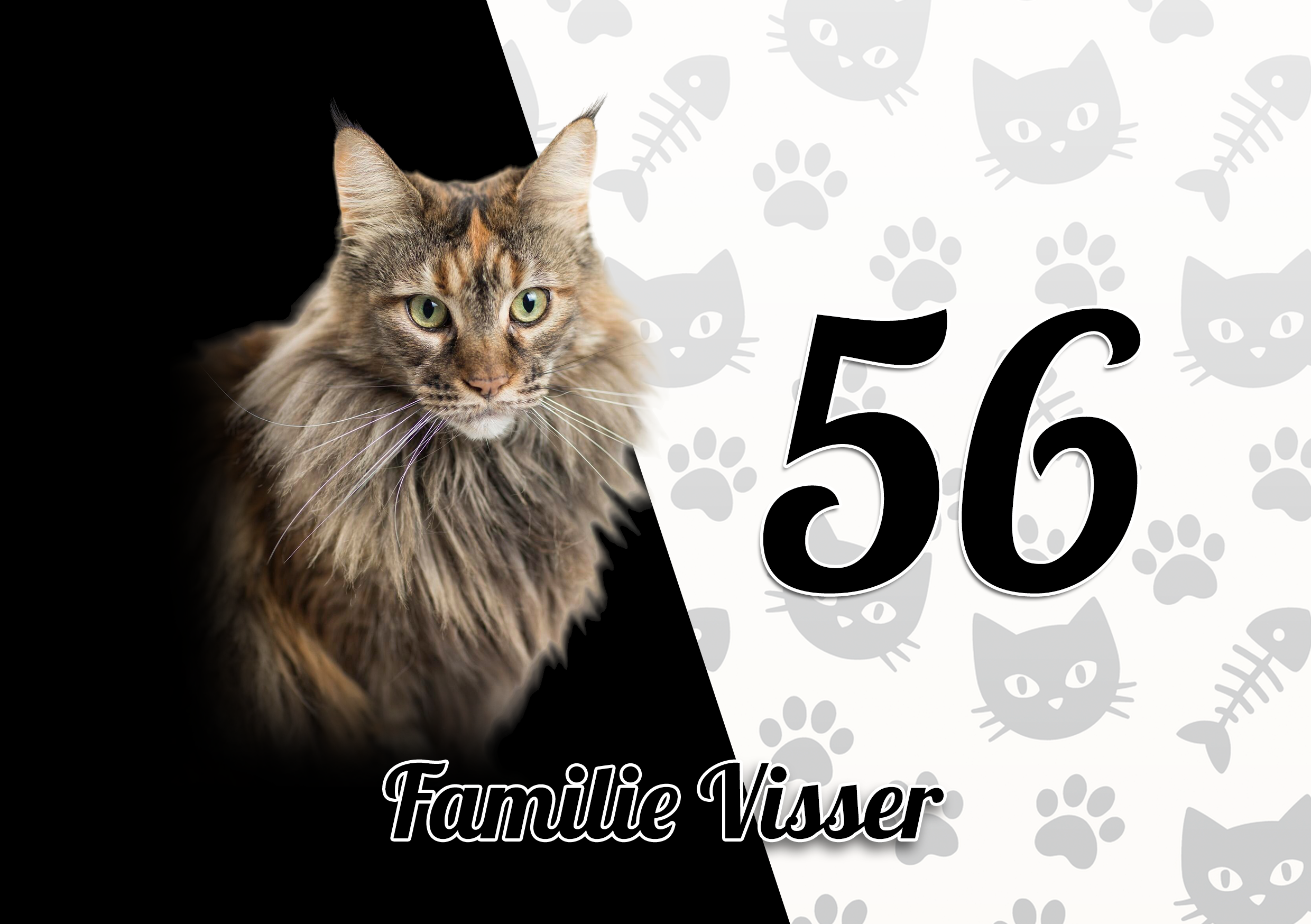 Maine Coon Naambordje 2