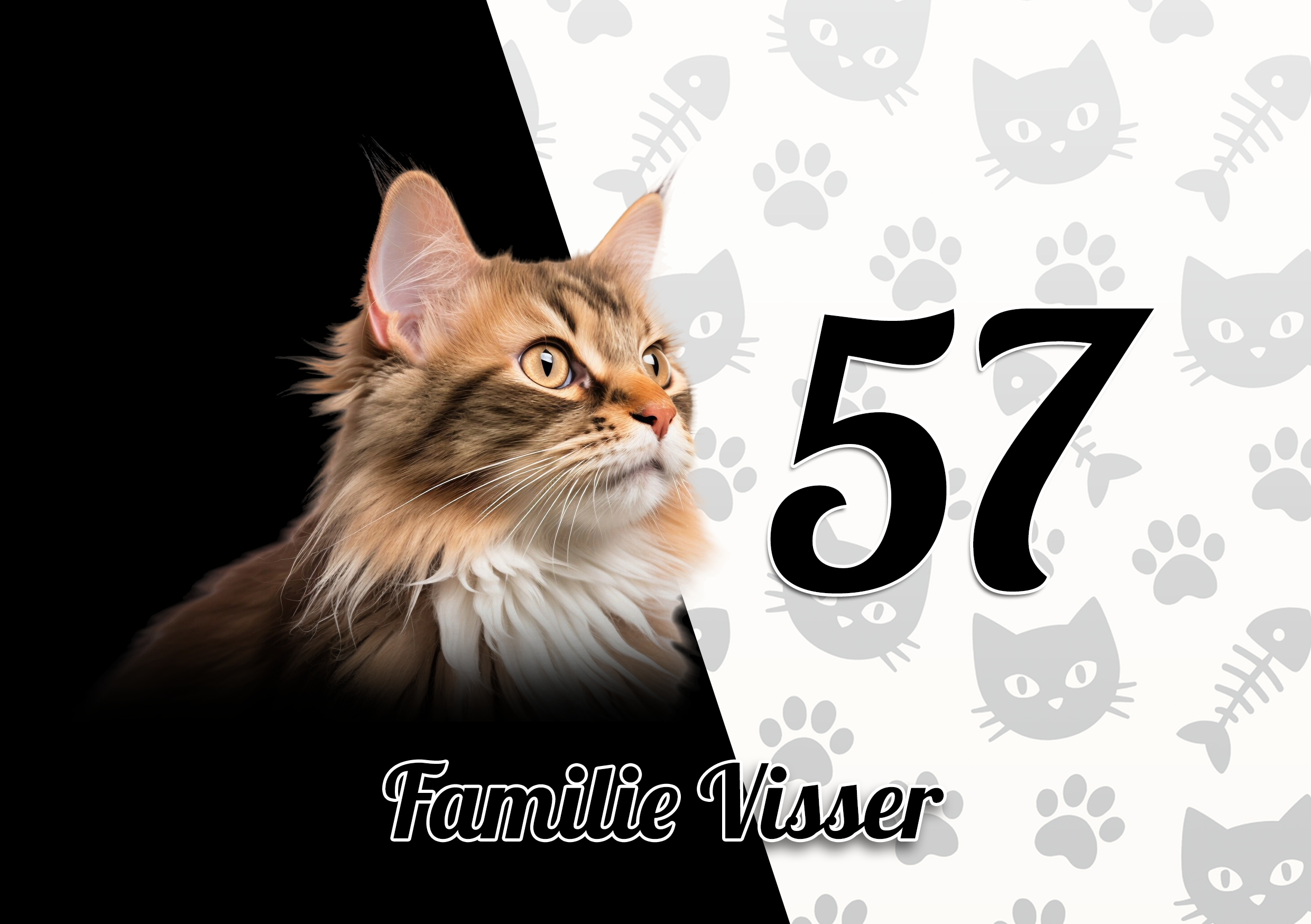 Maine Coon Naambordje 3