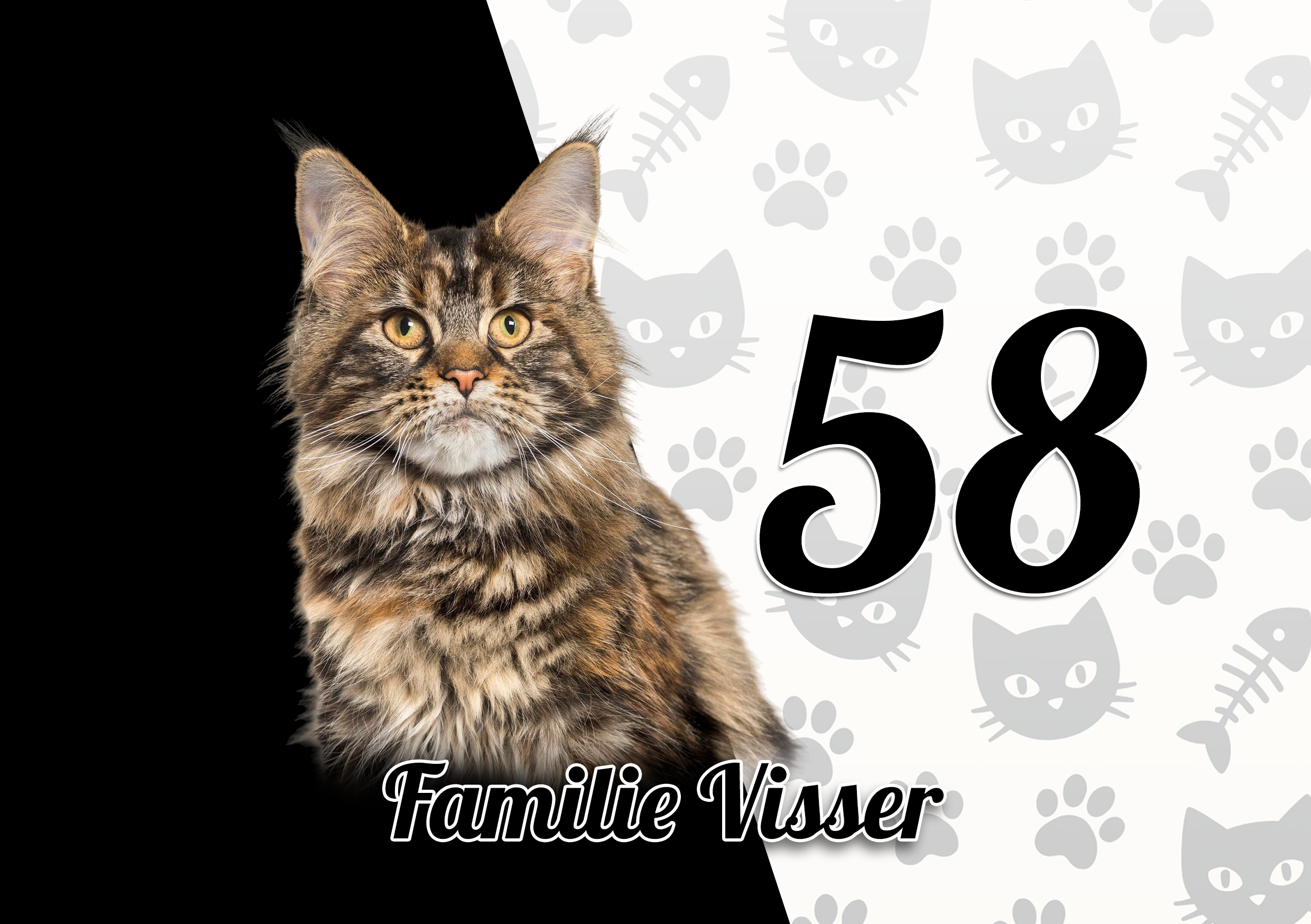 Maine Coon Naambordje 4