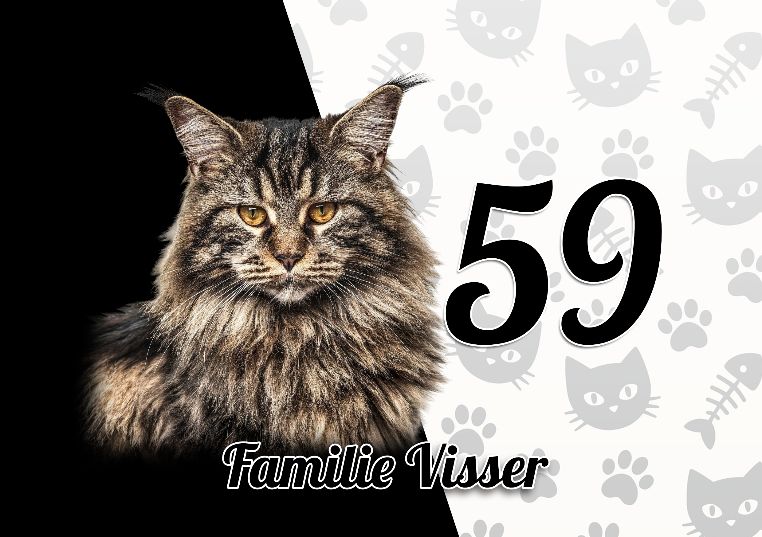 Maine Coon Naambordje 5