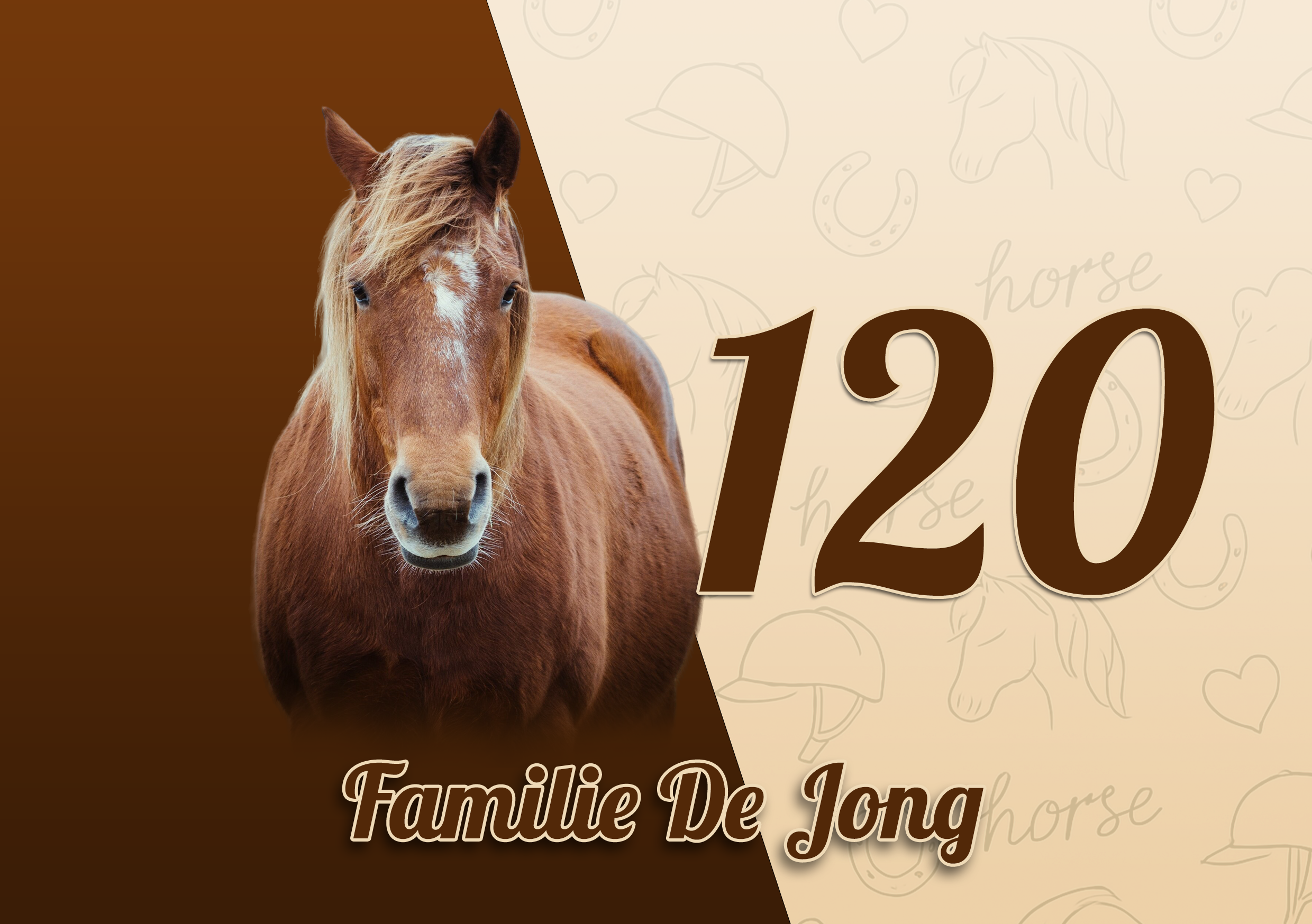 Paarden Naambordje 11