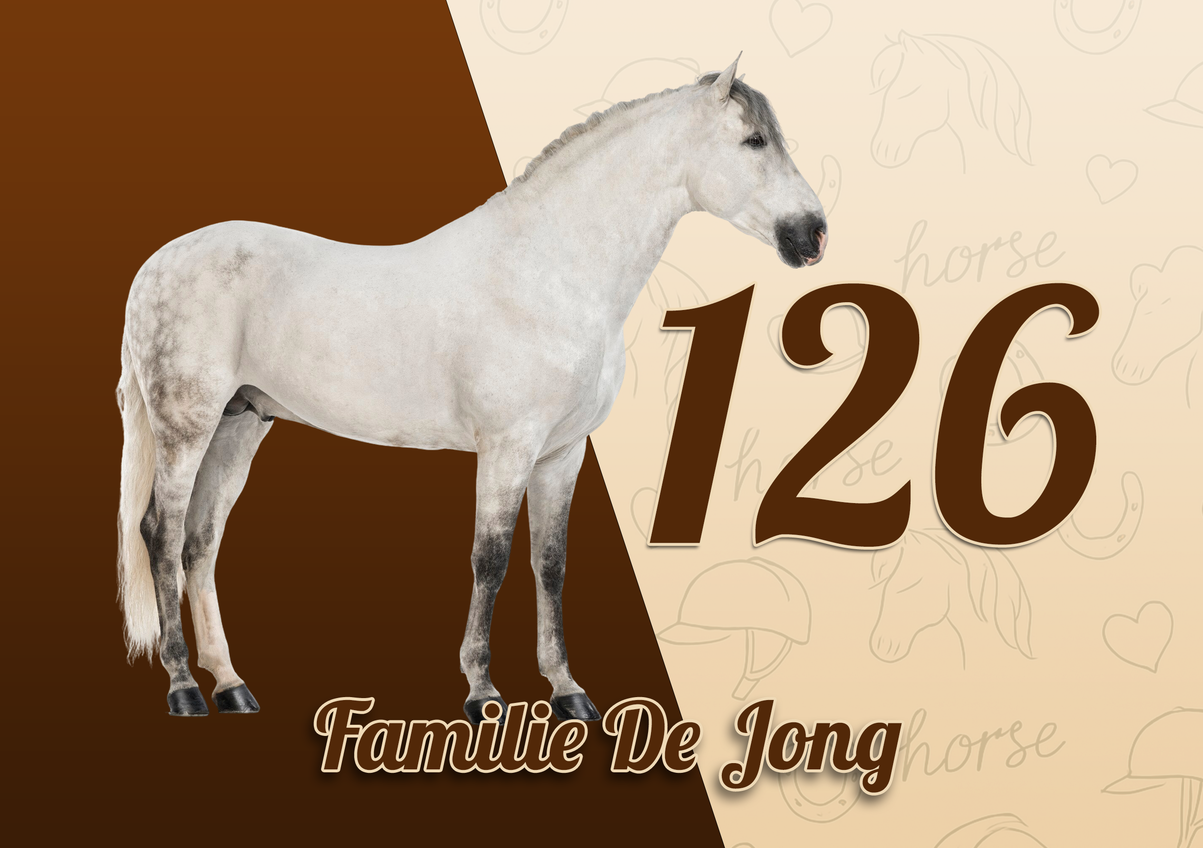 Paarden Naambordje 17