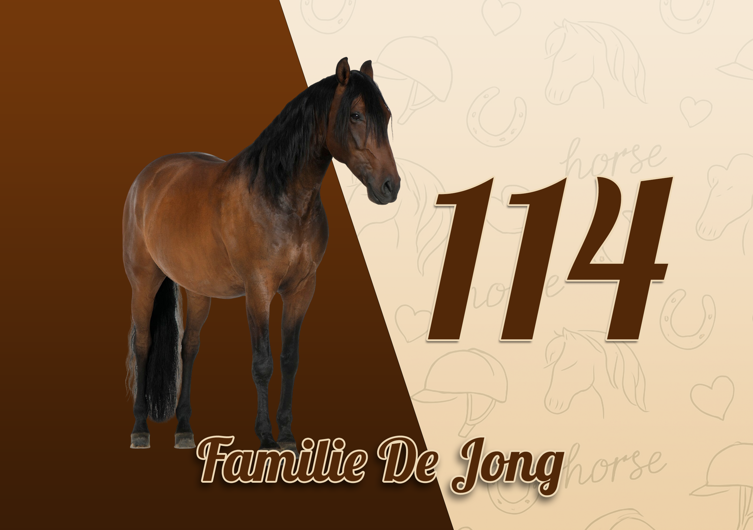 Paarden Naambordje 5