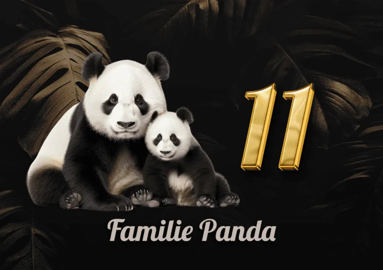 Panda Naambordje 1