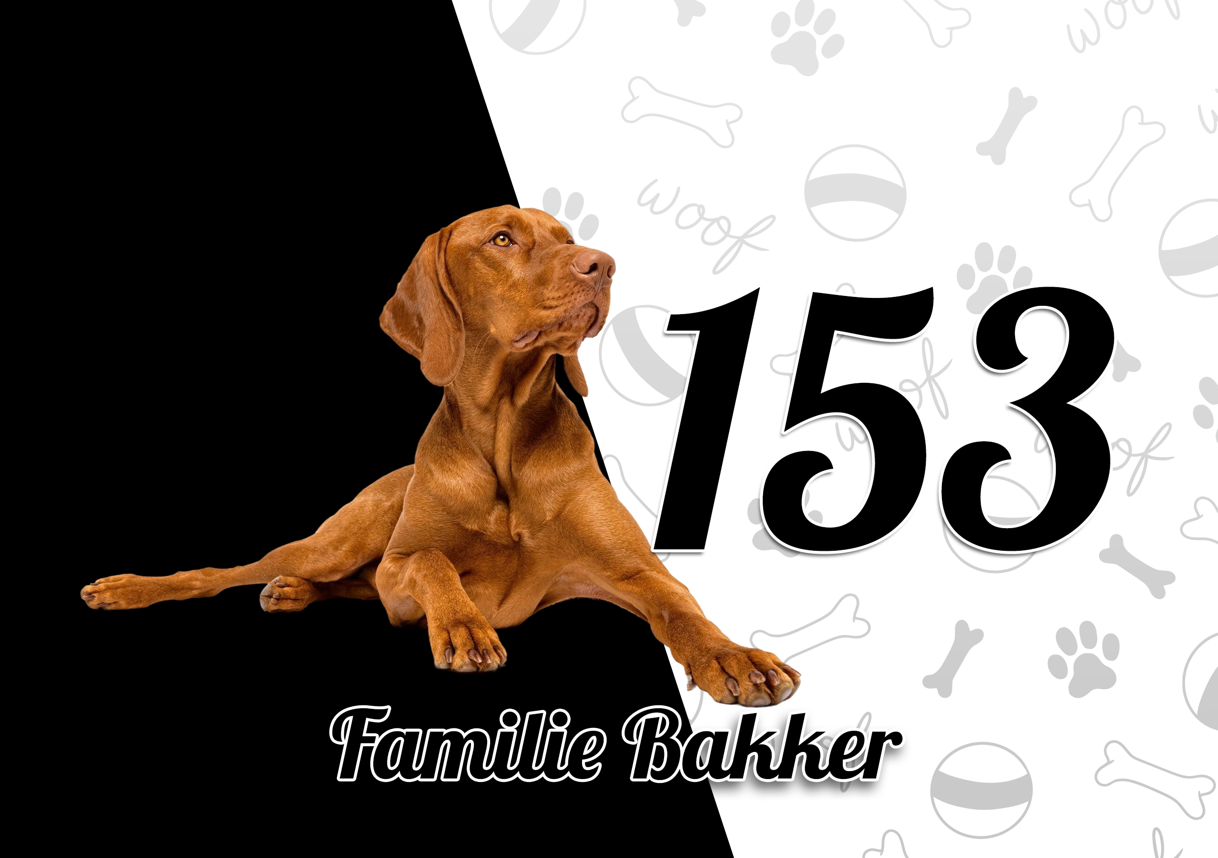 Vizsla Naambordje 1