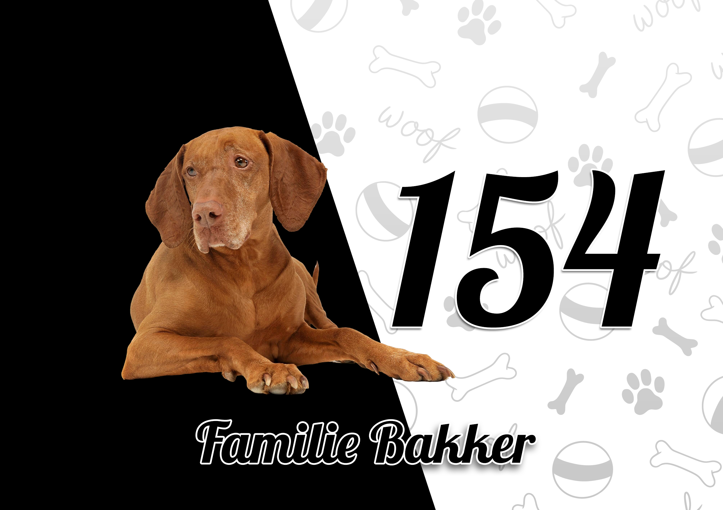 Vizsla Naambordje 2