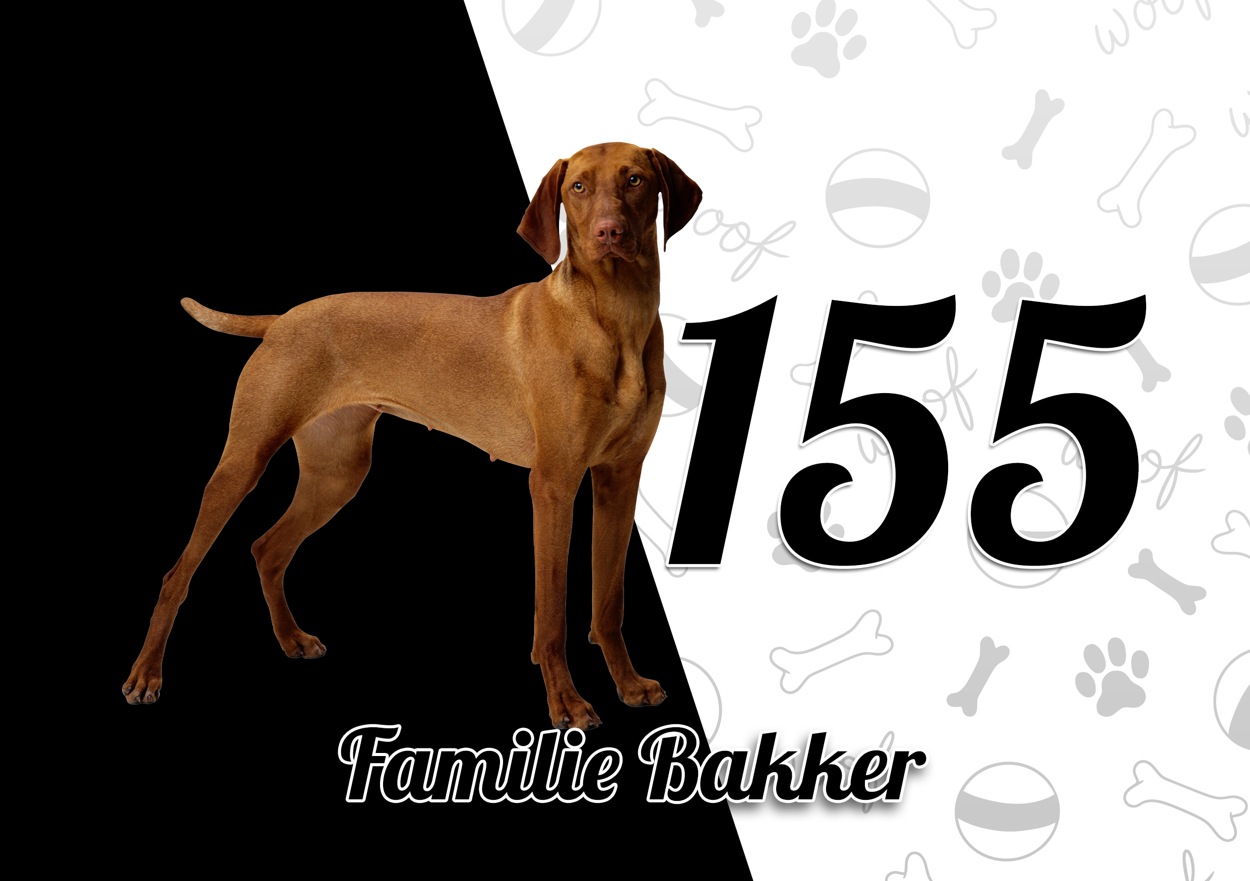 Vizsla Naambordje 3