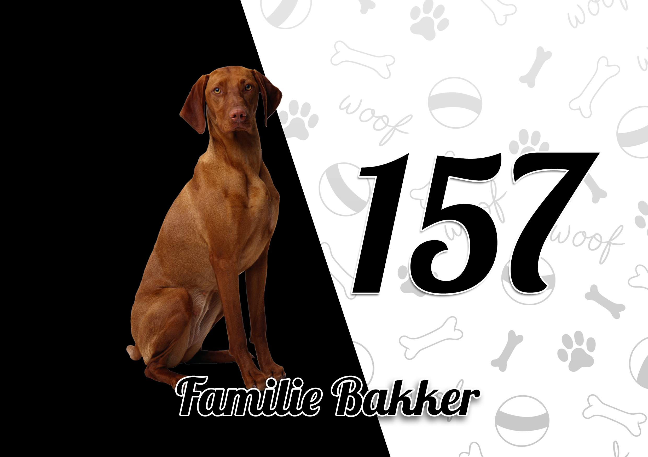 Vizsla Naambordje 5