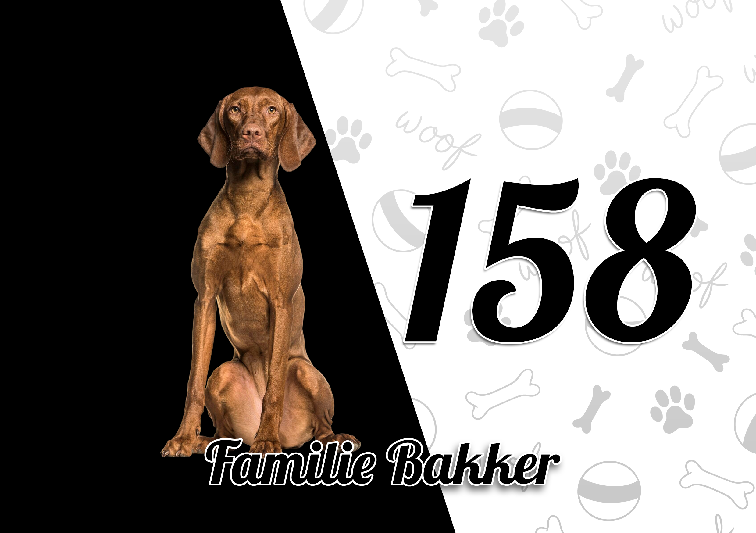 Vizsla Naambordje 6