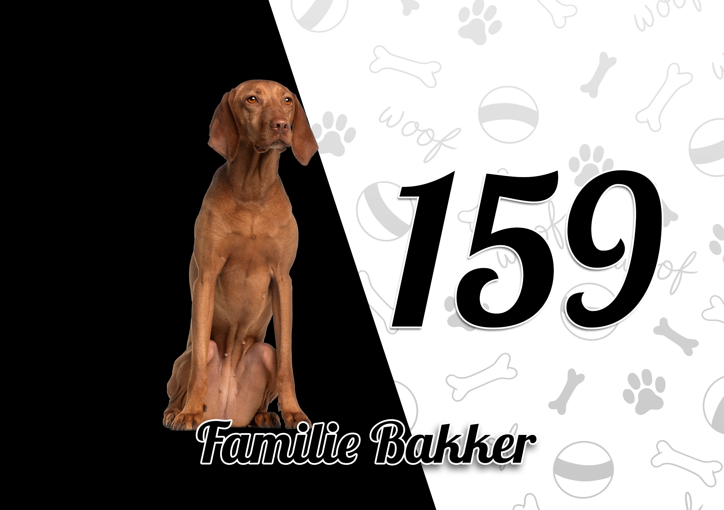 Vizsla Naambordje 7