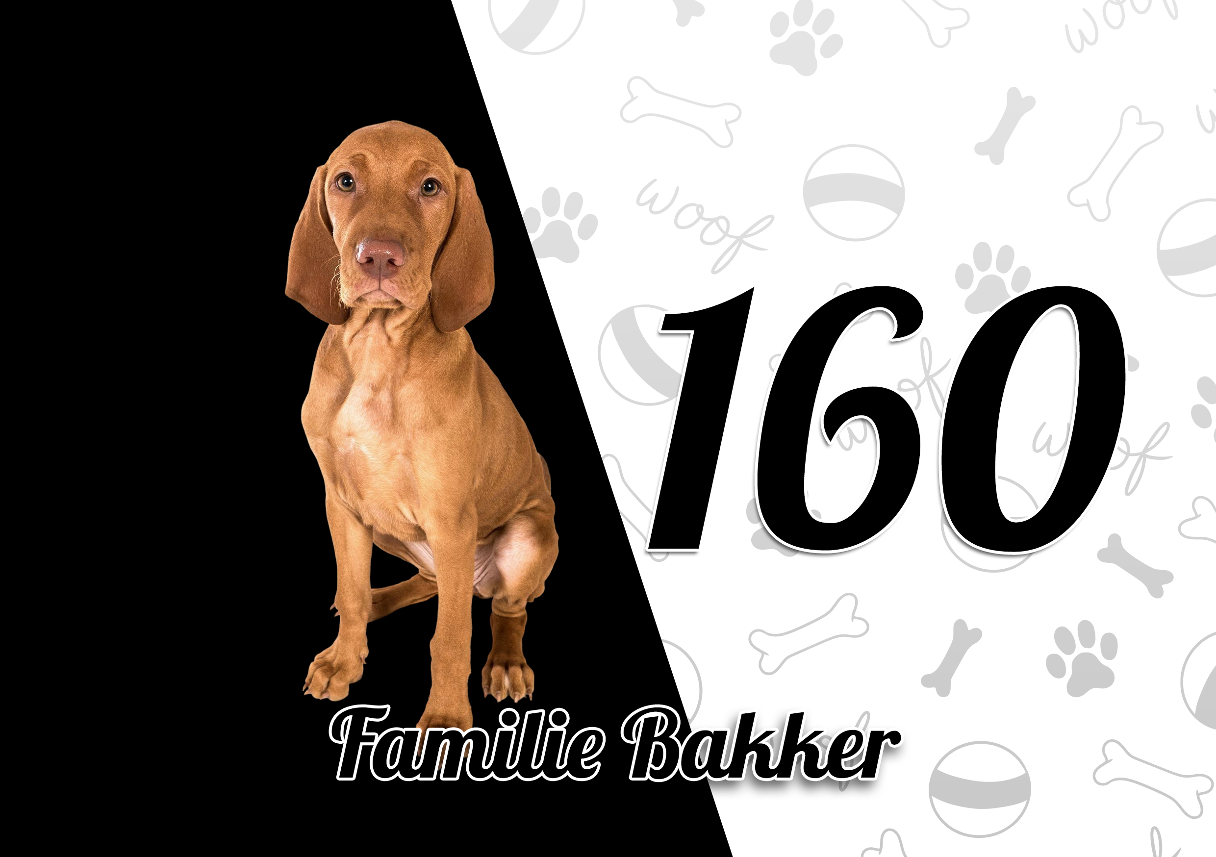 Vizsla Naambordje 8